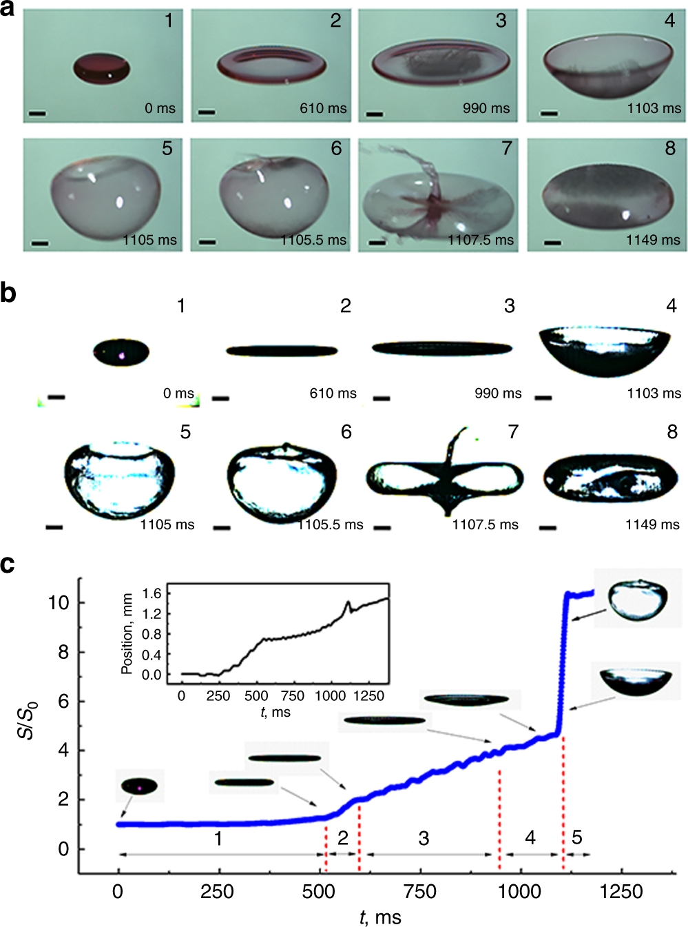 Inducing drop to bubble transformation via resonance in ultrasound