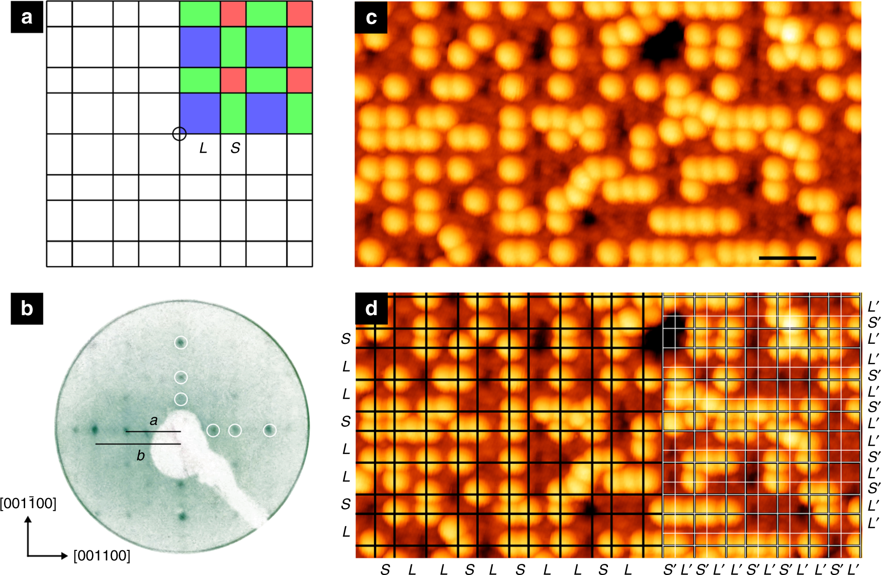 A Molecular Overlayer With The Fibonacci Square Grid Structure A Molecular Overlayer With The Fibonacci Square Grid Structure Nature Communications
