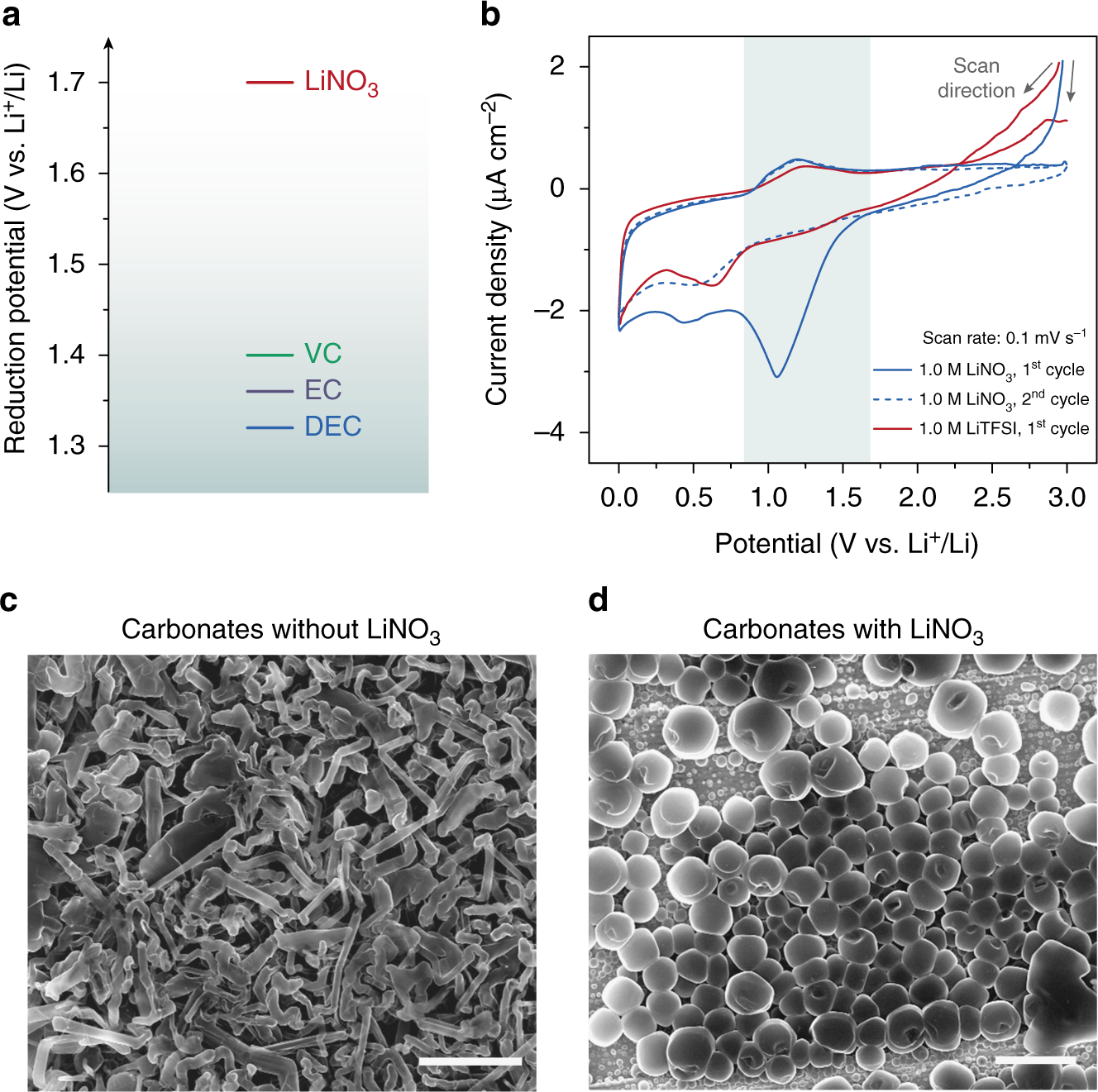 Solubility-mediated sustained release enabling nitrate additive in  carbonate electrolytes for stable lithium metal anode | Nature  Communications