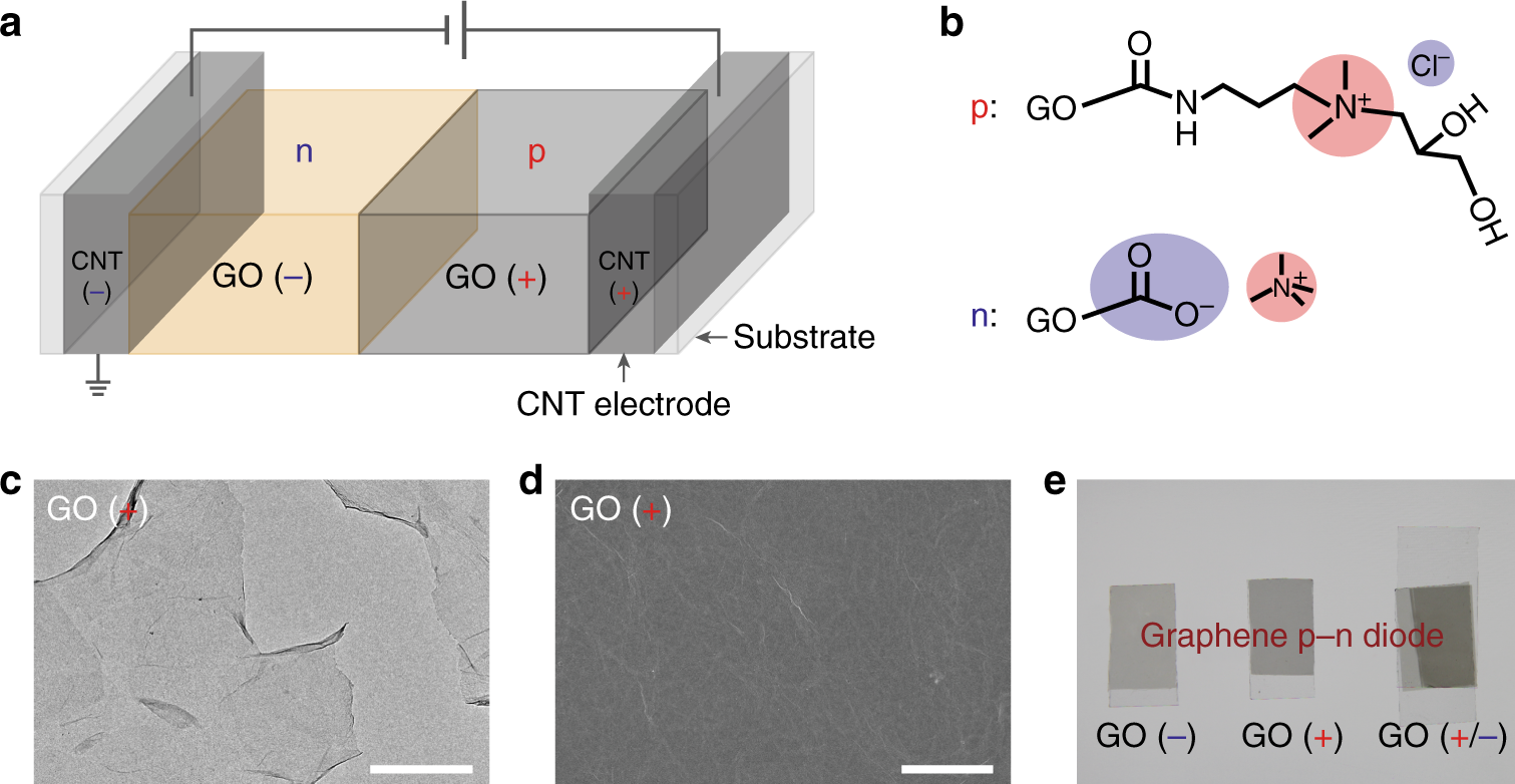All Carbon Materials Pn Diode Nature Communications