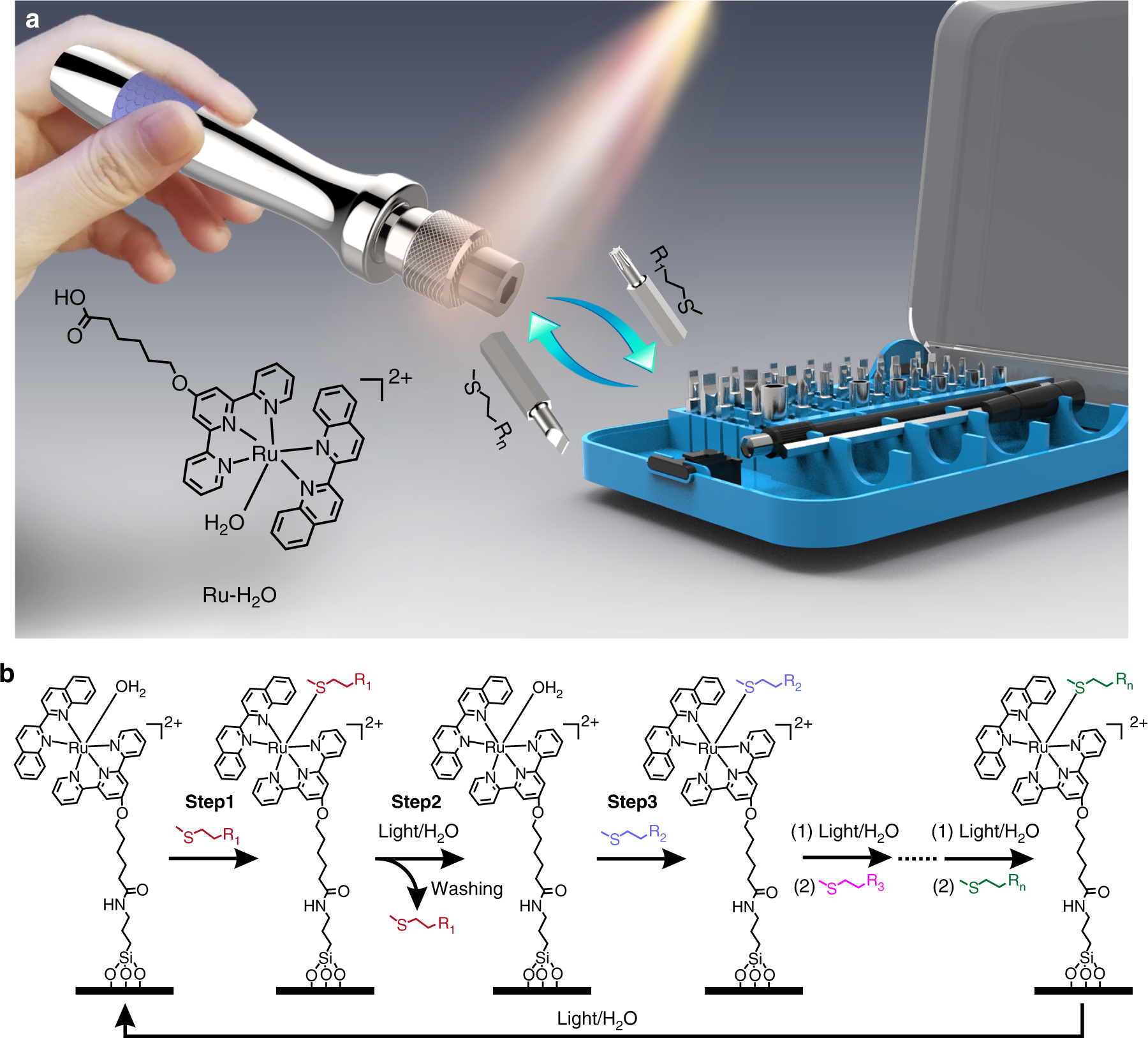 Reconfiguring surface functions using visible-light-controlled metal-ligand  coordination | Nature Communications