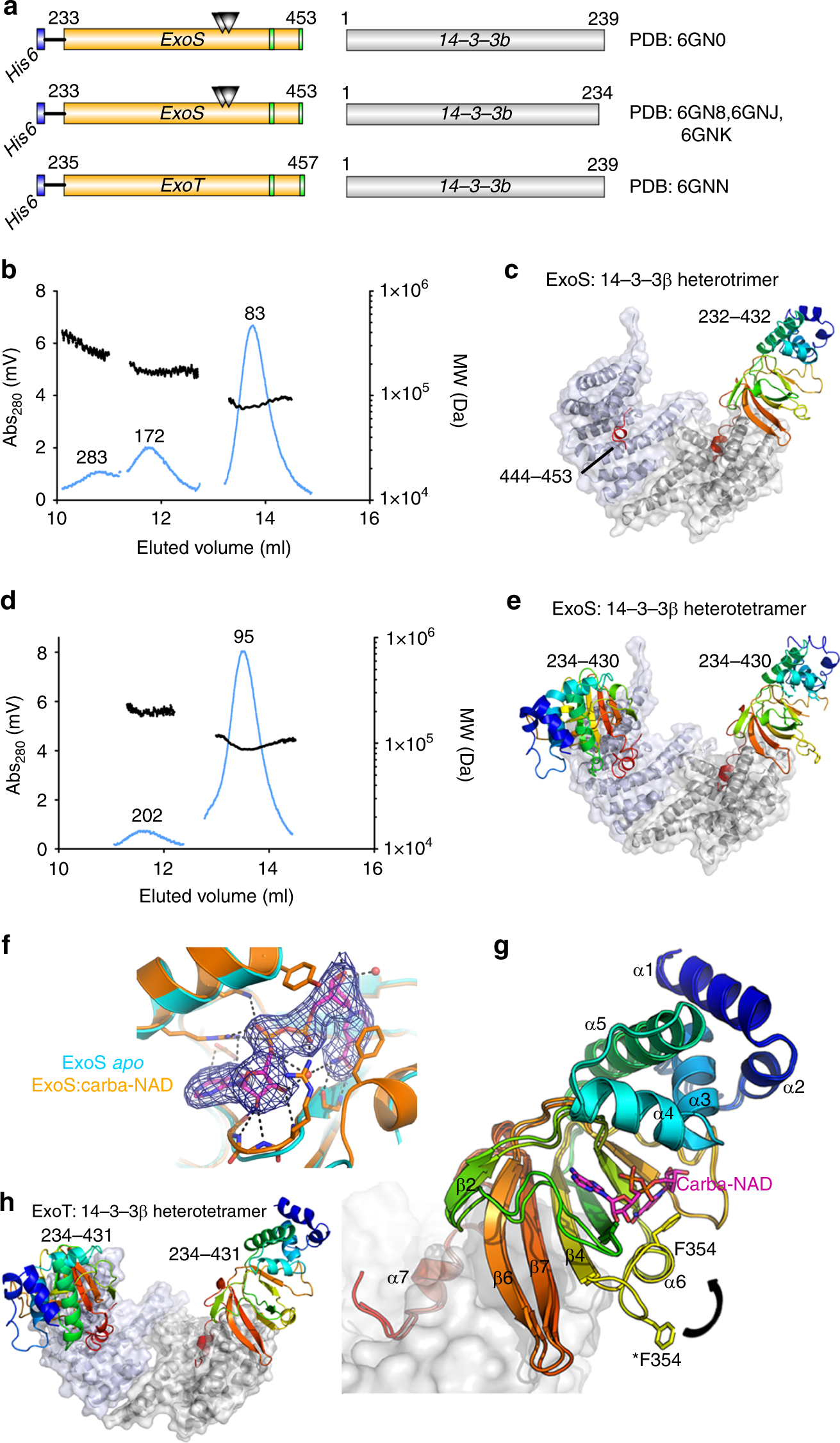 14 3 3 Proteins Activate Pseudomonas Exotoxins S And T By