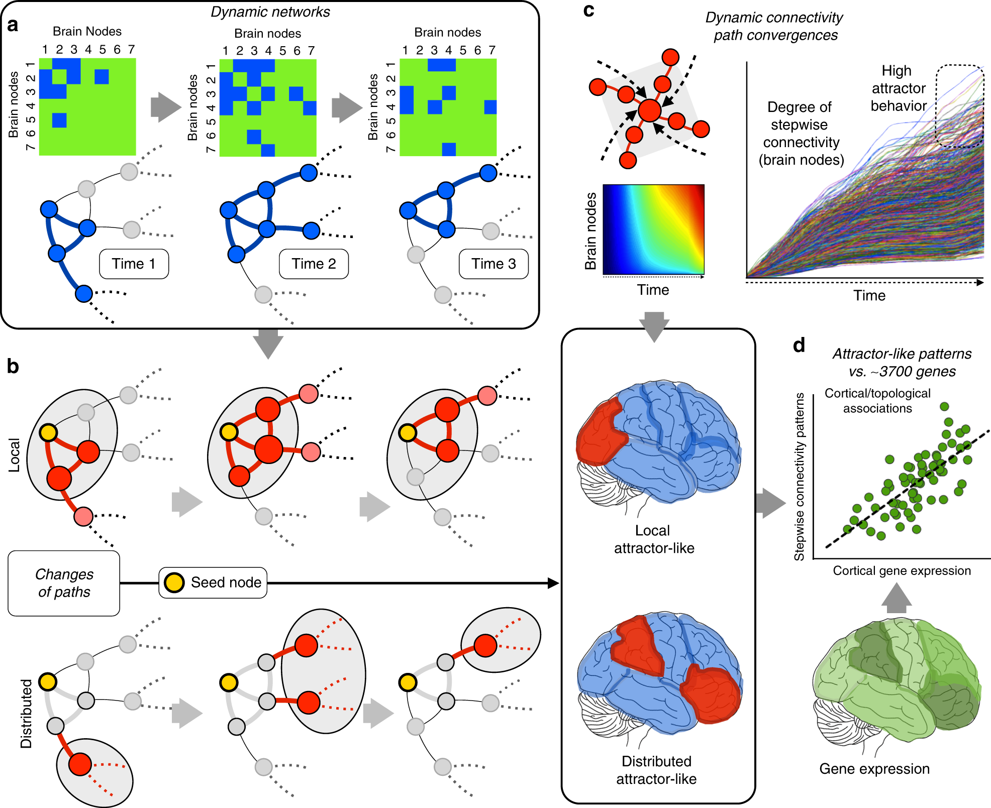Neurogenetic Profiles Delineate Large Scale Connectivity Dynamics Of The Human Brain Nature Communications