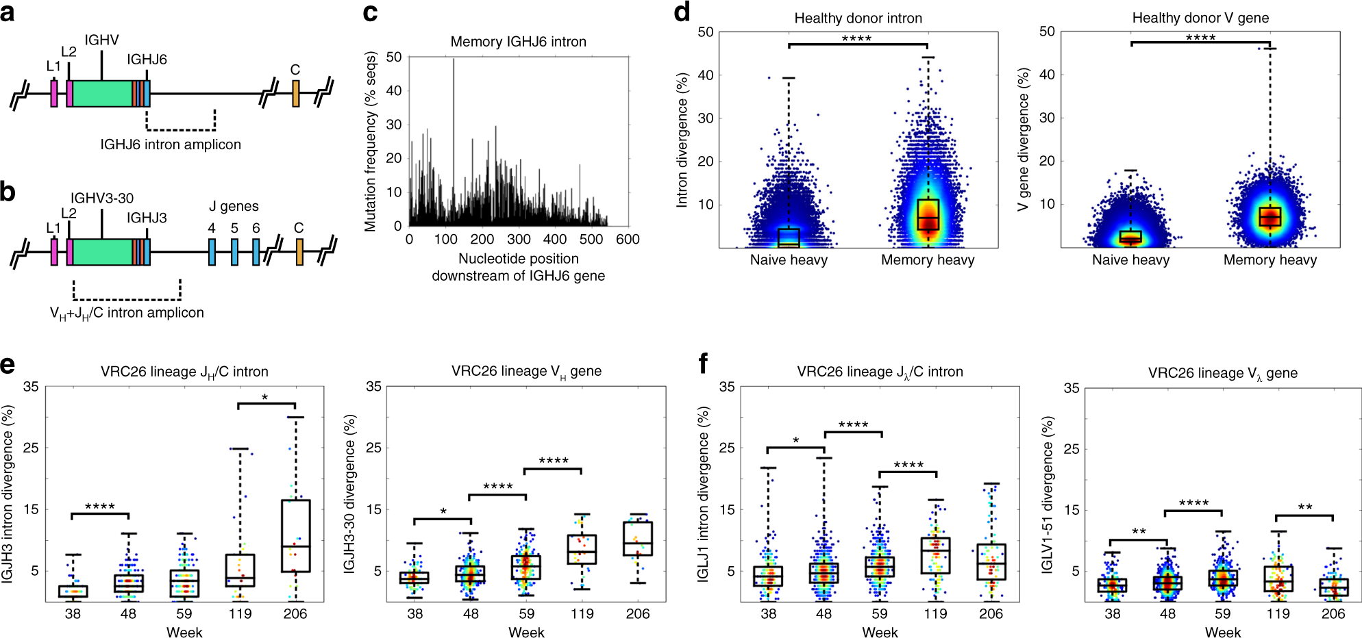 Sequencing Hiv Neutralizing Antibody Exons And Introns