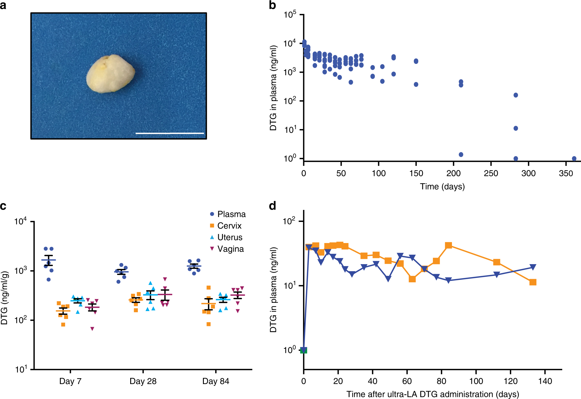 Ultra-long-acting removable drug delivery system for HIV treatment and prevention | Nature Communications Ultra-long-acting removable drug delivery system for HIV treatment ...