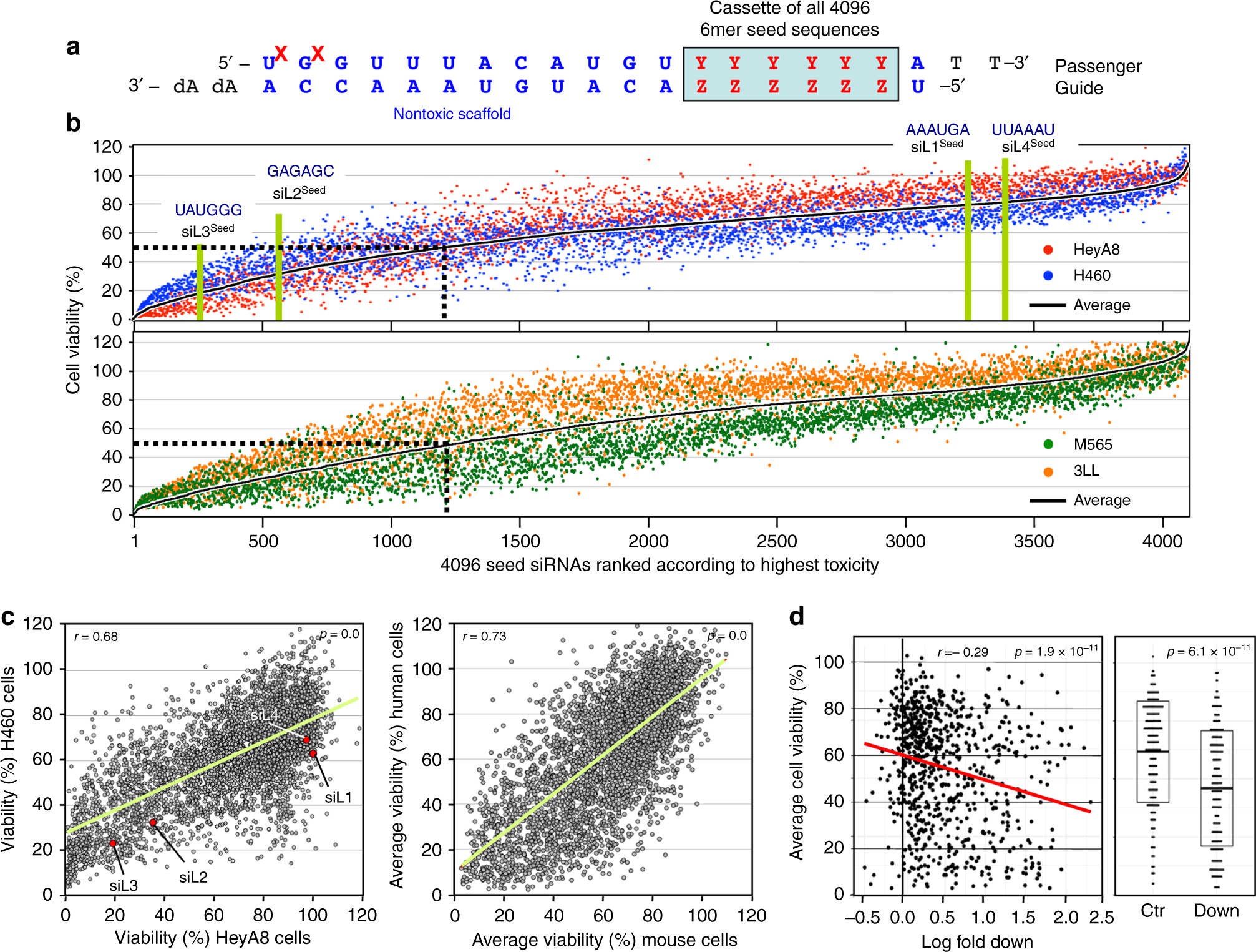 6mer Seed Toxicity In Tumor Suppressive Micrornas Nature Communications