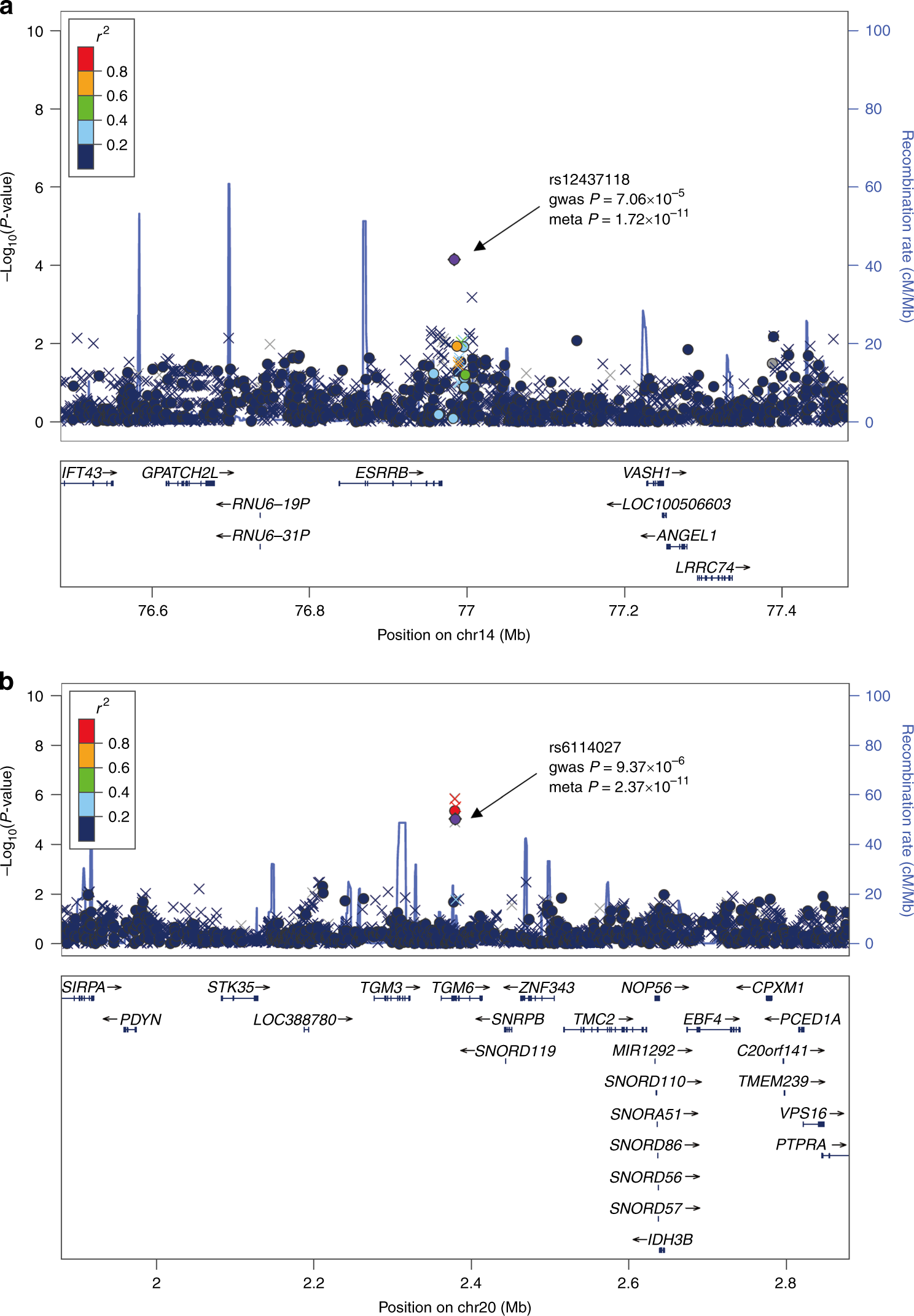 Genome-wide association study identifies two risk loci for tuberculosis in  Han Chinese | Nature Communications