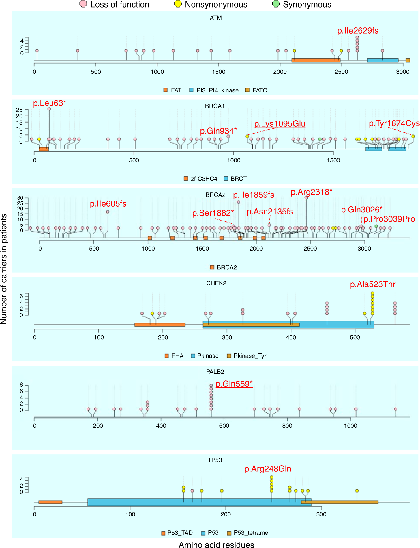 Cancer Gene Twice As Likely To Be >> Germline Pathogenic Variants Of 11 Breast Cancer Genes In 7 051 Cancer Gene Twice As Likely To Be >> Germline Pathogenic Variants Of 11 Breast Cancer Genes In 7 051