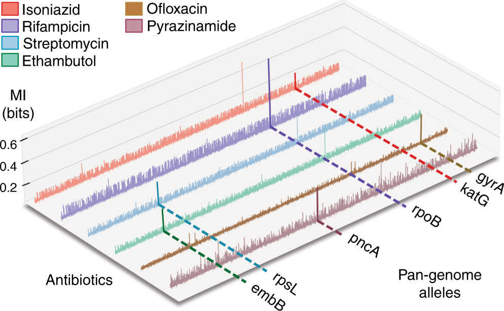 Machine Learning And Structural Analysis Of Mycobacterium