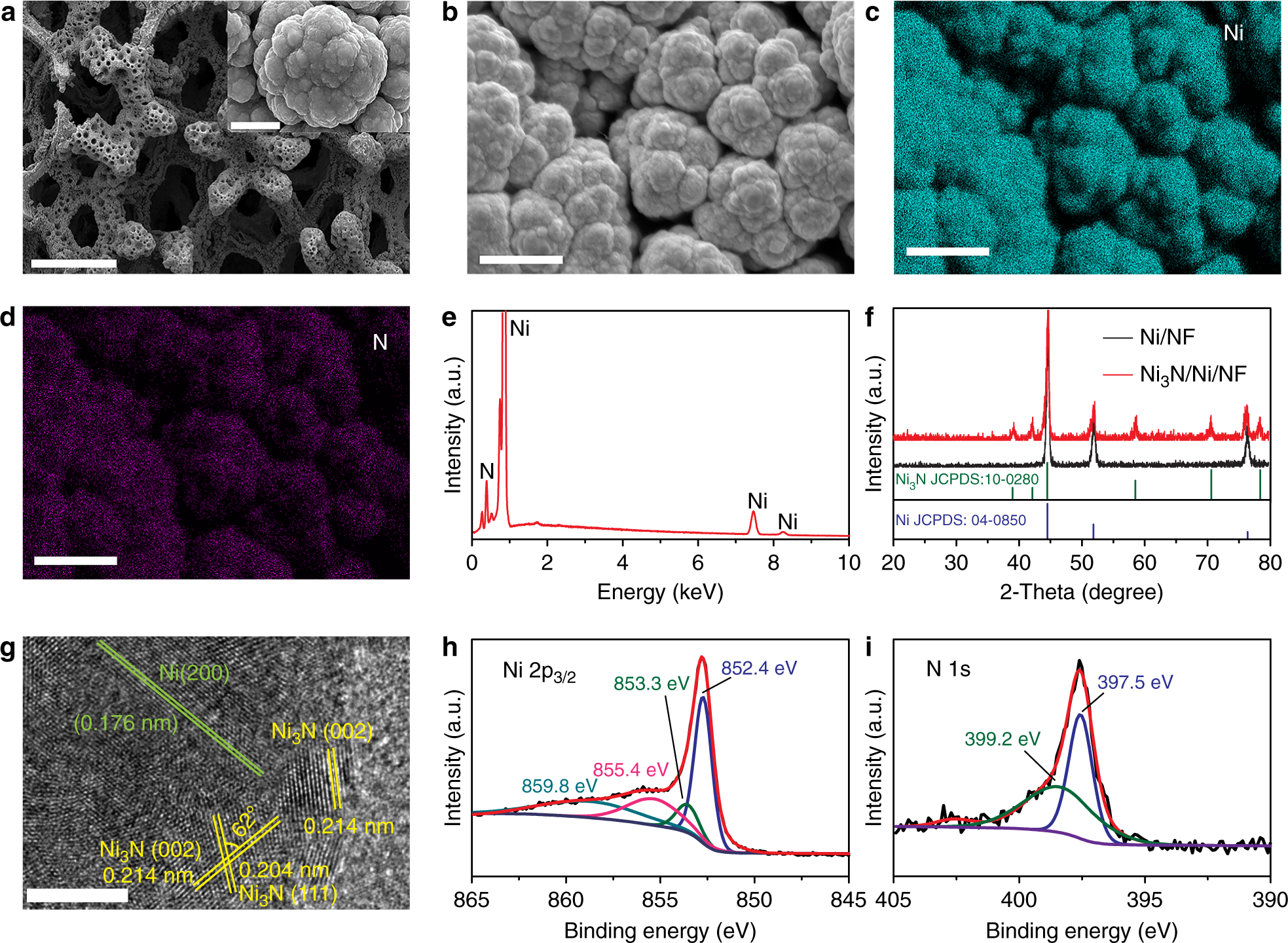 Interfacing nickel nitride and nickel boosts both electrocatalytic hydrogen  evolution and oxidation reactions | Nature Communications
