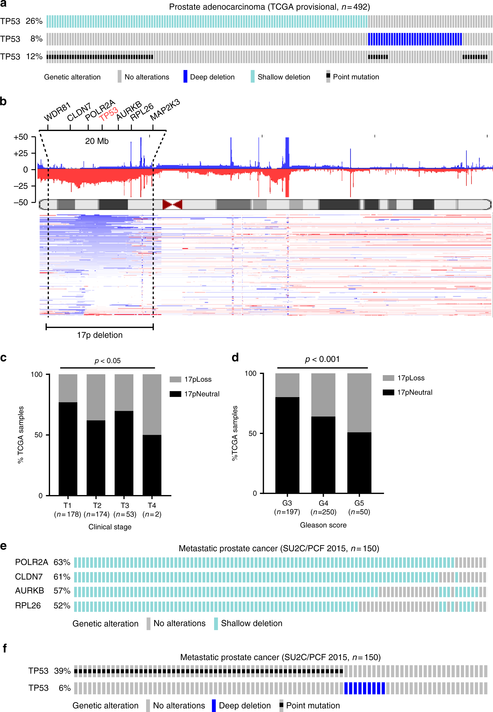 heterozygous deletion of chromosome
