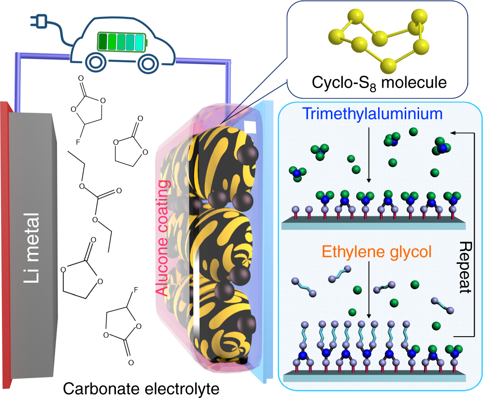 A high-energy sulfur cathode in carbonate electrolyte by eliminating  polysulfides via solid-phase lithium-sulfur transformation | Nature  Communications