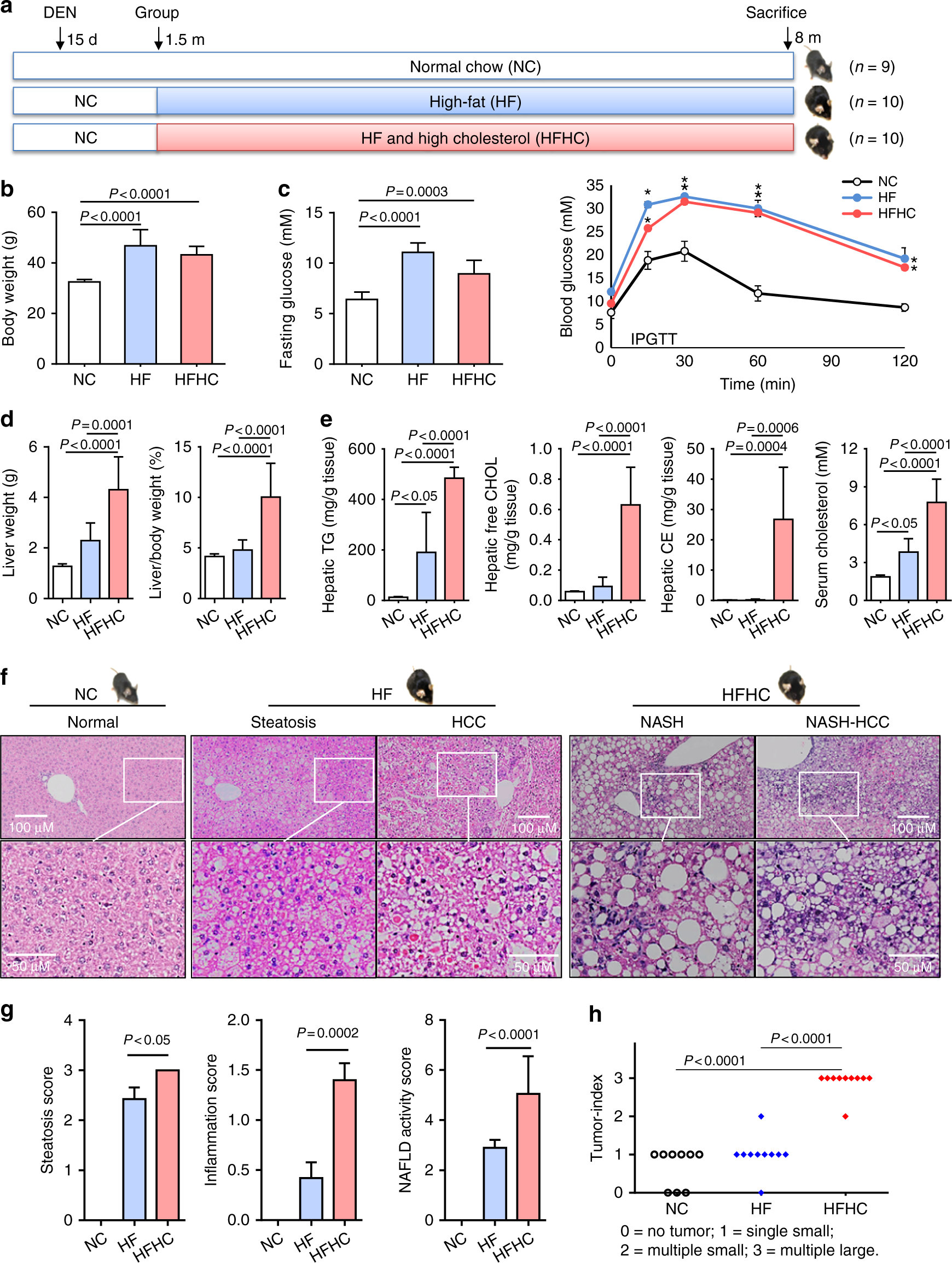 Dietary cholesterol promotes steatohepatitis related hepatocellular  carcinoma through dysregulated metabolism and calcium signaling | Nature  Communications