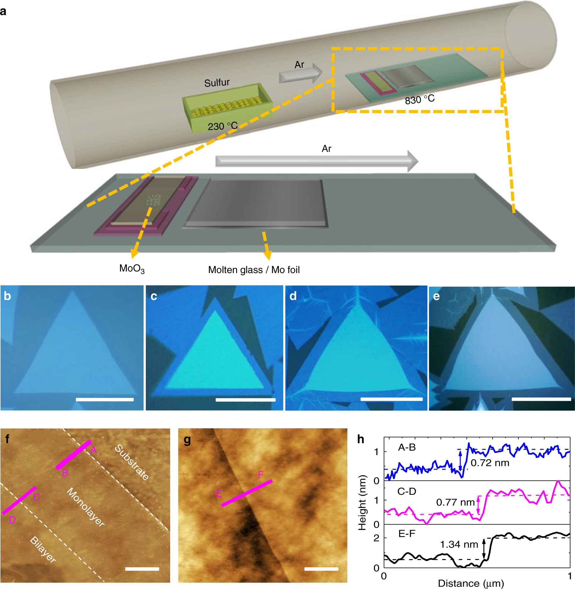 Scalable high performance radio frequency electronics based on large domain  bilayer MoS2 | Nature Communications