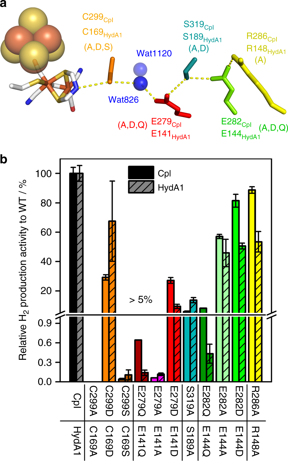 Crystallographic And Spectroscopic Assignment Of The Proton Transfer Pathway In Fefe Hydrogenases Nature Communications
