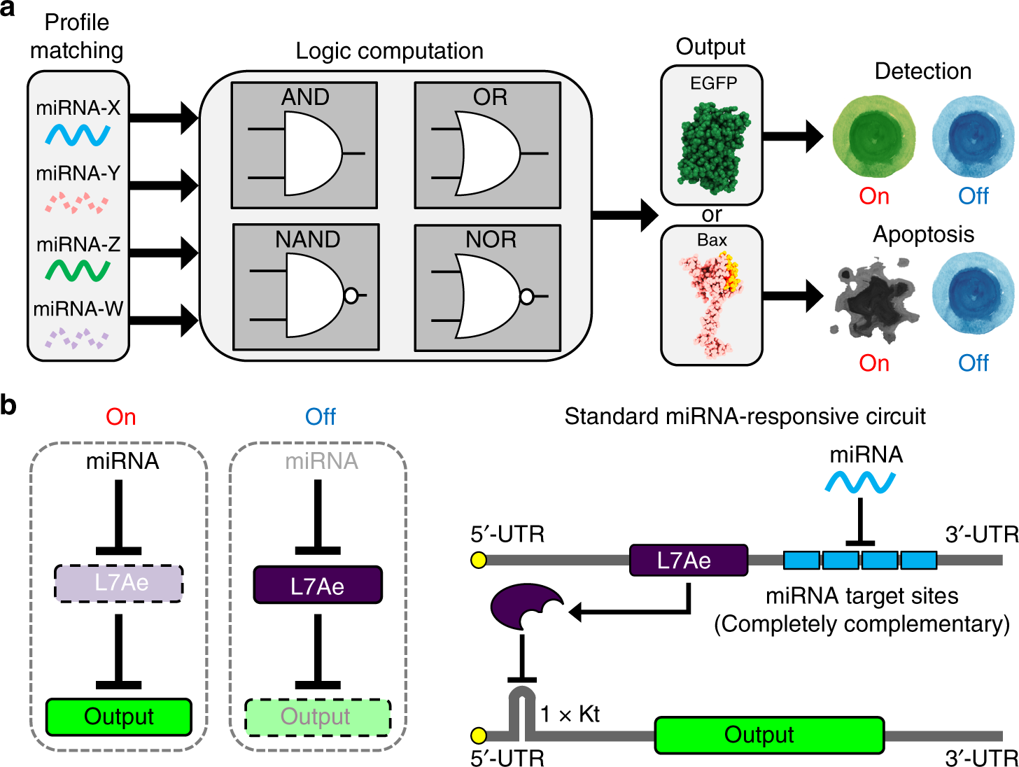 Synthetic RNA-based logic computation in mammalian cells | Nature  Communications