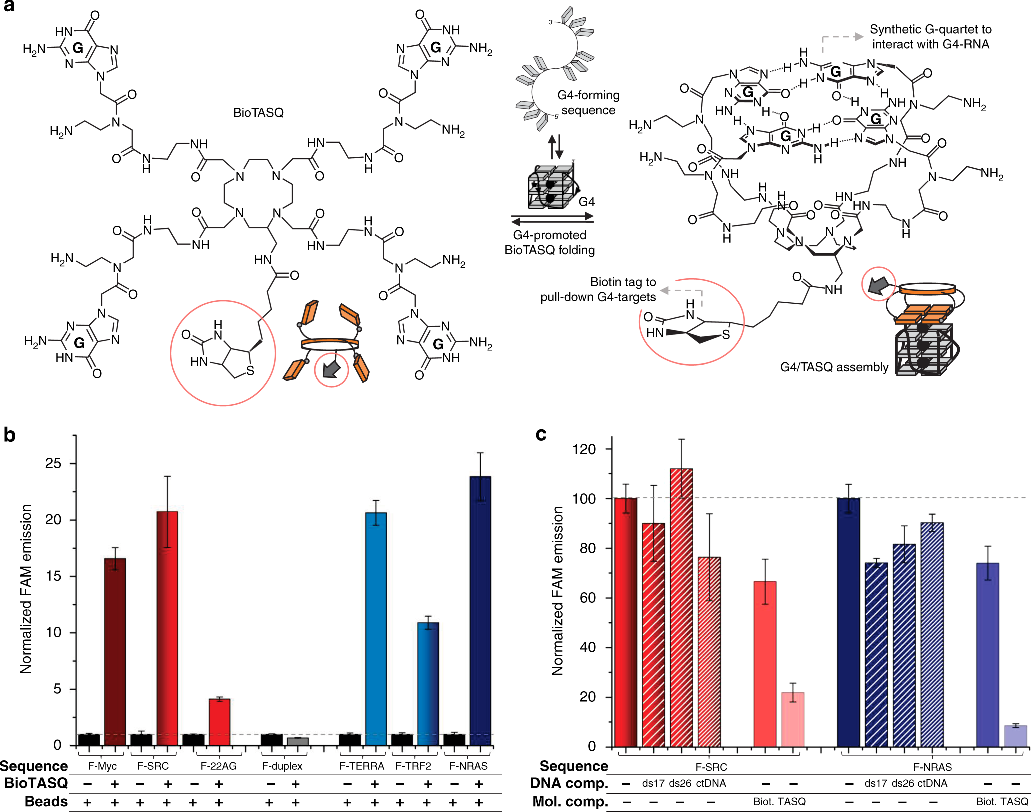 transcriptome wide identification of transient rna g compare and contrast dna and rna venn diagram