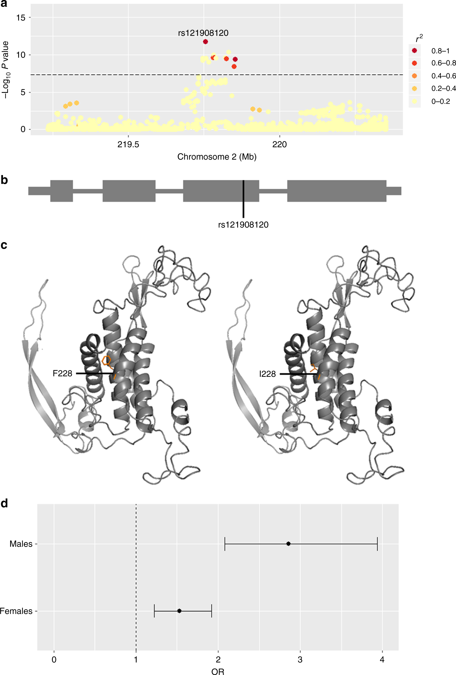 Genome-wide meta-analysis implicates mediators of hair follicle development  and morphogenesis in risk for severe acne | Nature Communications