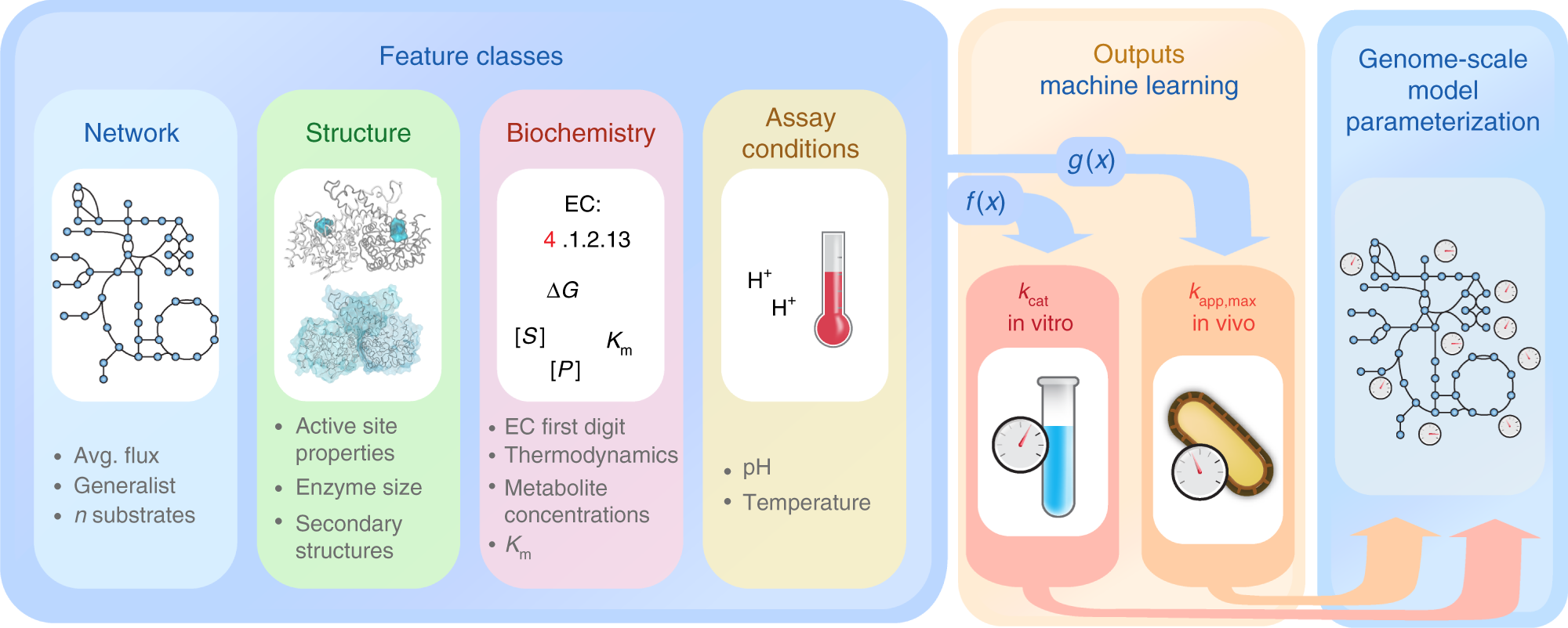 Machine learning applied to enzyme turnover numbers reveals protein  structural correlates and improves metabolic models | Nature Communications