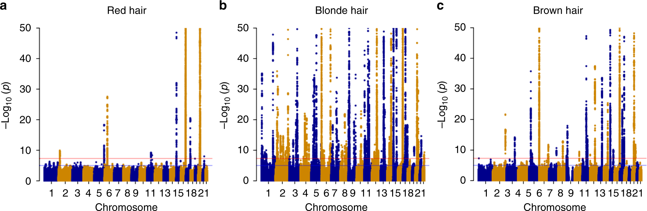 Genome-wide study of hair colour in UK Biobank explains most of the SNP  heritability | Nature Communications