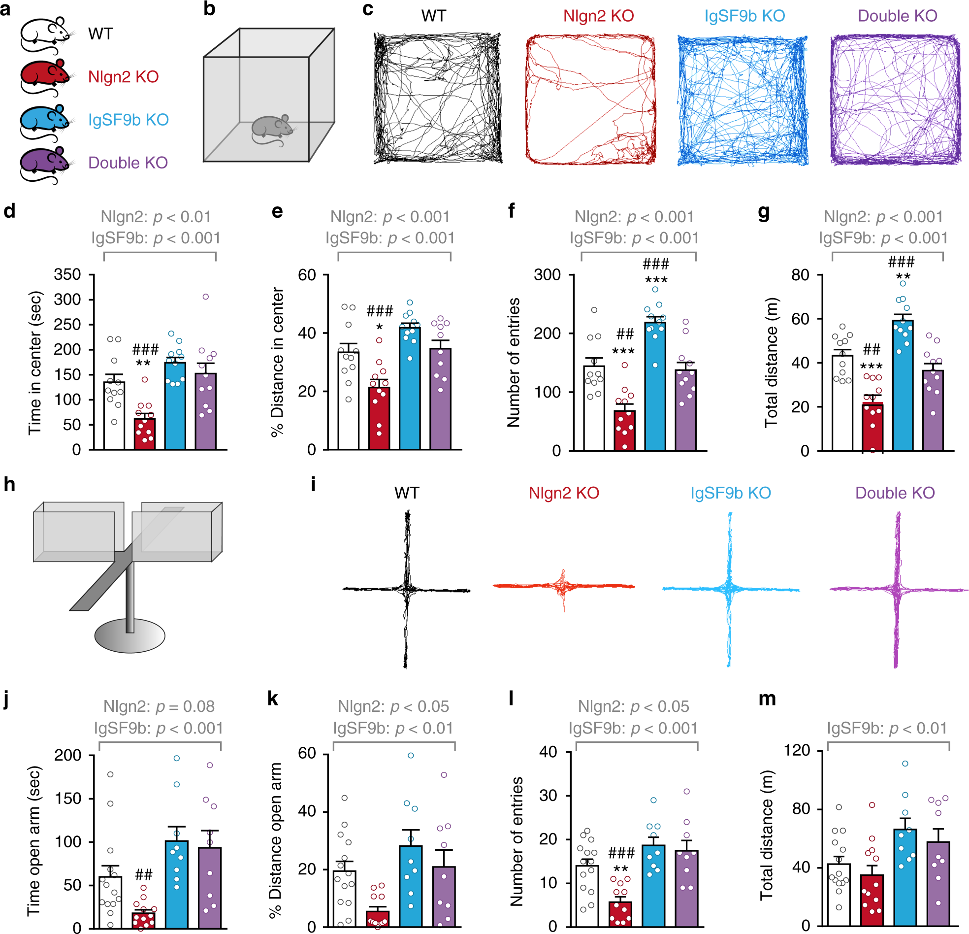 Igsf9b Regulates Anxiety Behaviors Through Effects On Centromedial Igsf9b Regulates Anxiety Behaviors Through Effects On Centromedial Amygdala Inhibitory Synapses Nature Communications