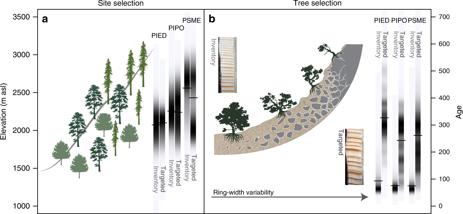 Frontiers | Dendrochemistry: Ecosystem Services Perspectives for Urban  Biomonitoring