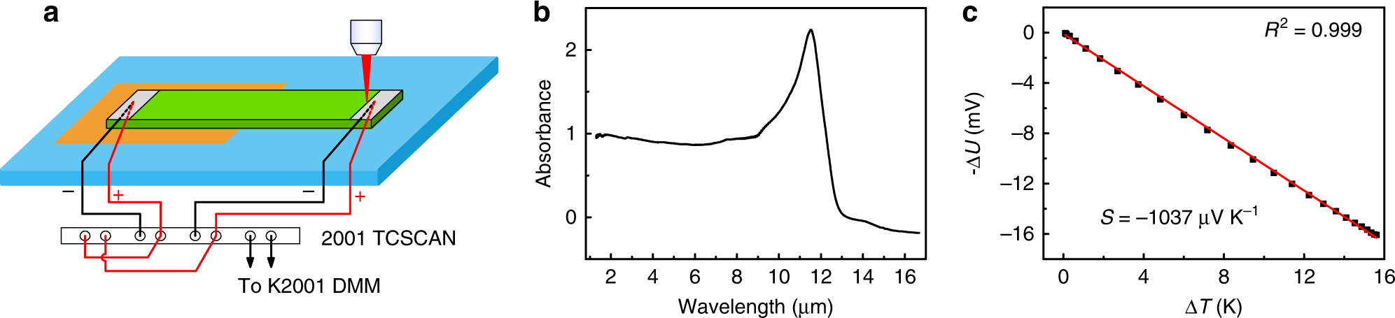 Phonon-enhanced photothermoelectric effect in SrTiO3 ultra 