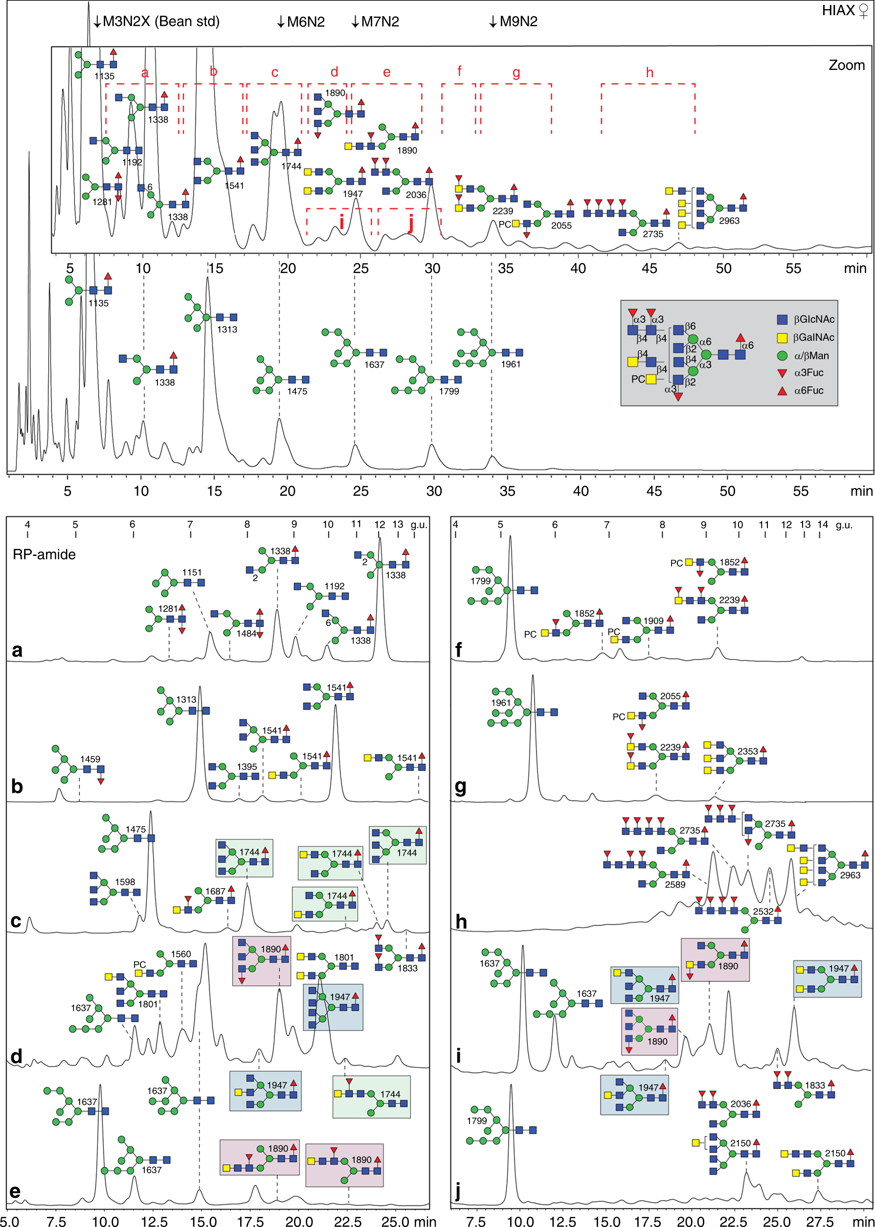 Microarray assessment of N-glycan-specific IgE and IgG profiles