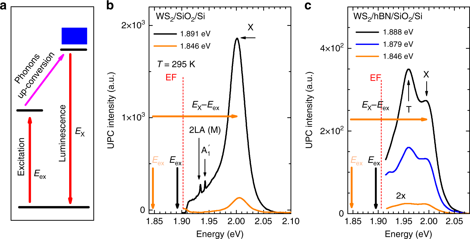Multi-Phonon Transitions