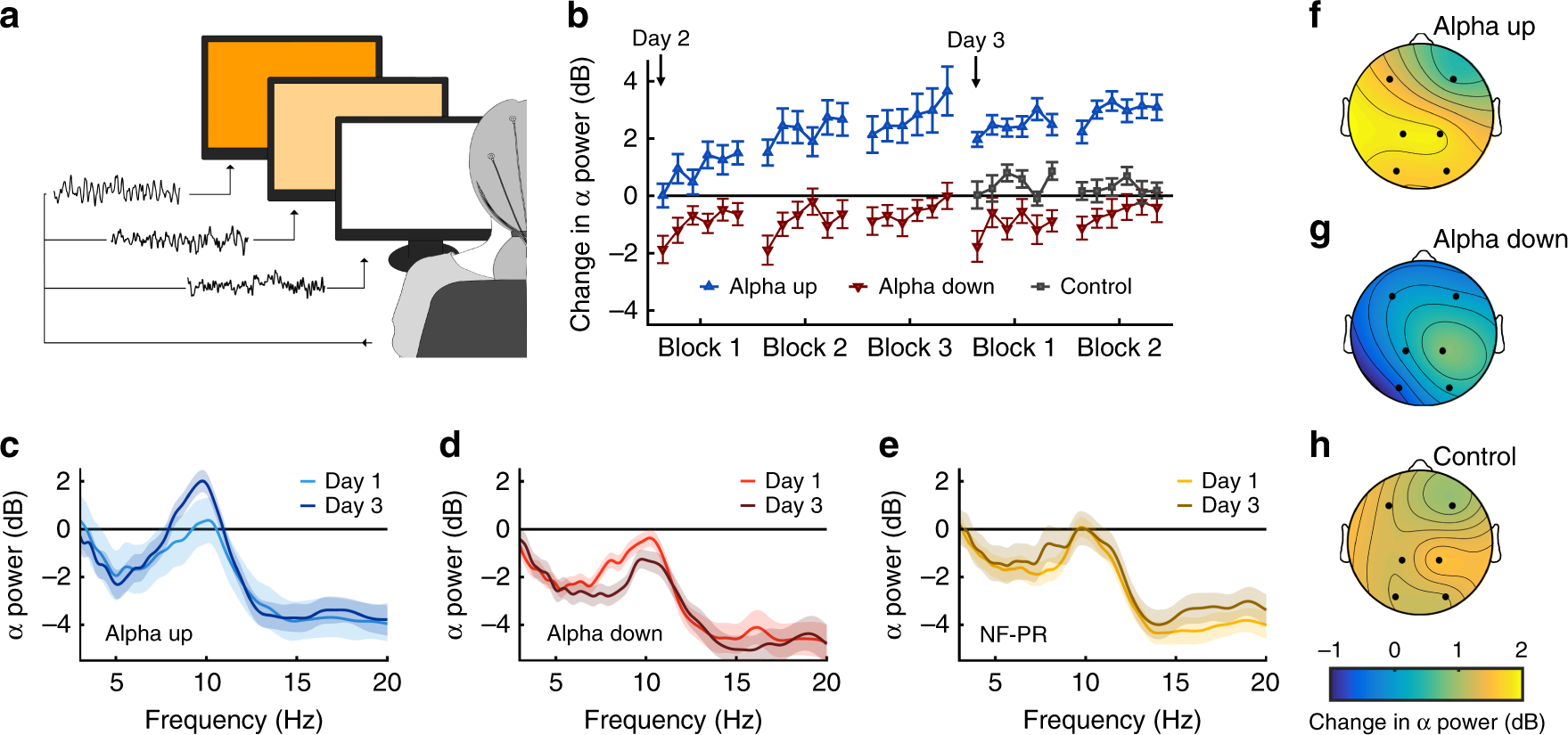 Somatosensory Alpha Oscillations Gate Perceptual Learning