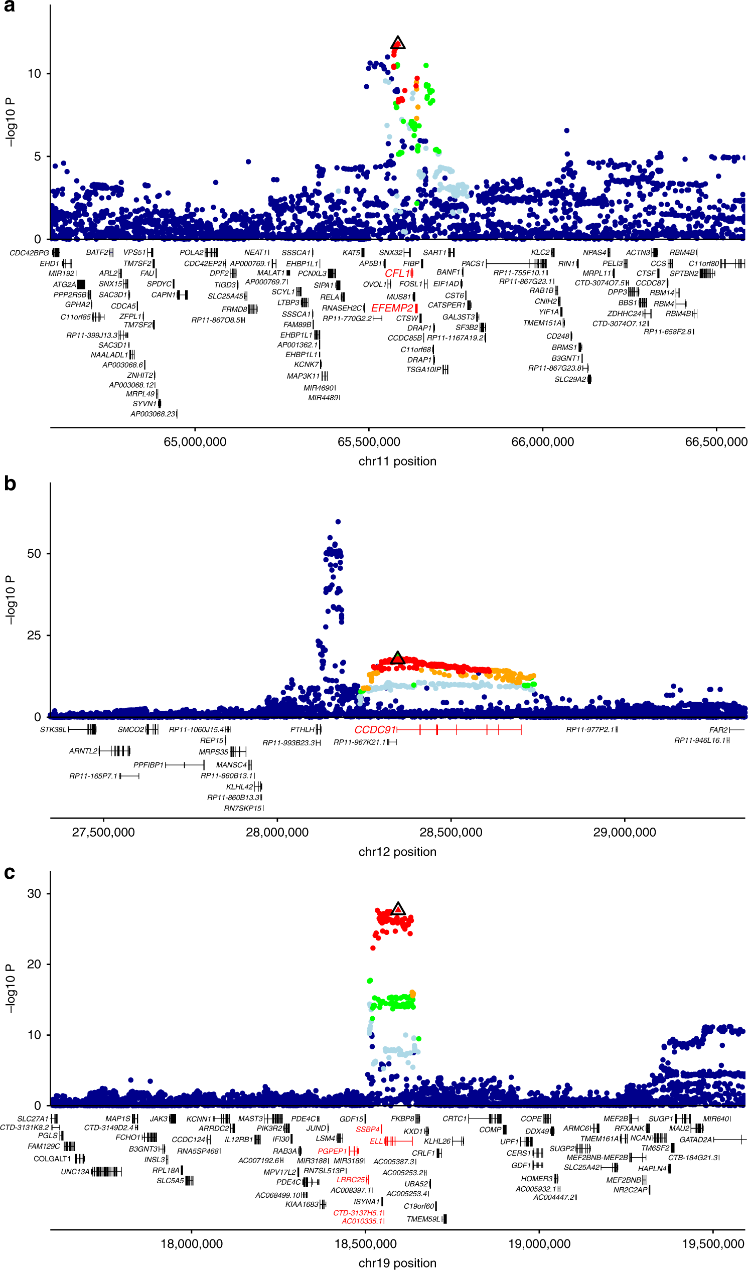 genome wide association and transcriptome studies identify target genes and risk loci for breast cancer nature communications