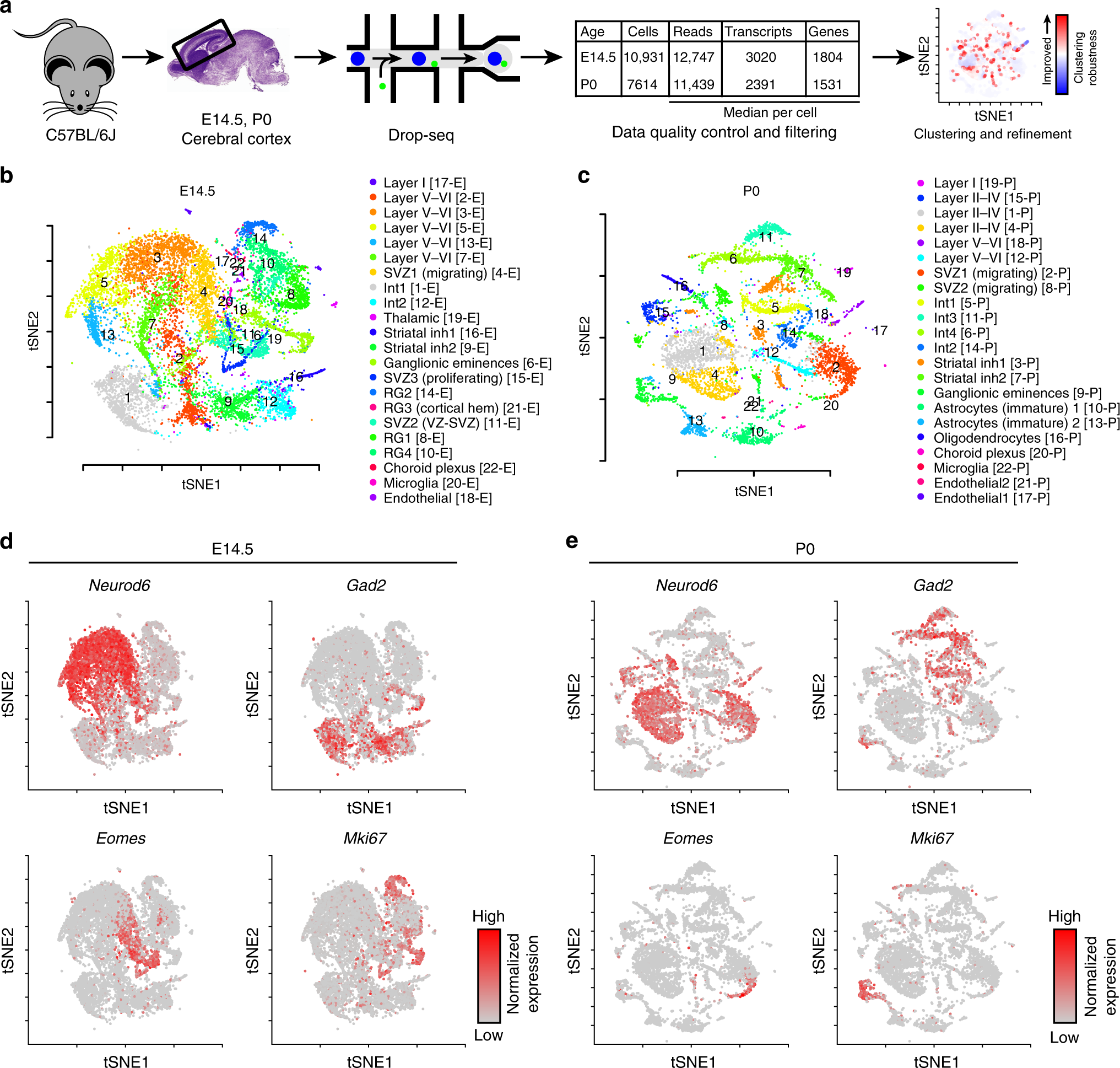 Single-cell transcriptomic analysis of mouse neocortical development |  Nature Communications