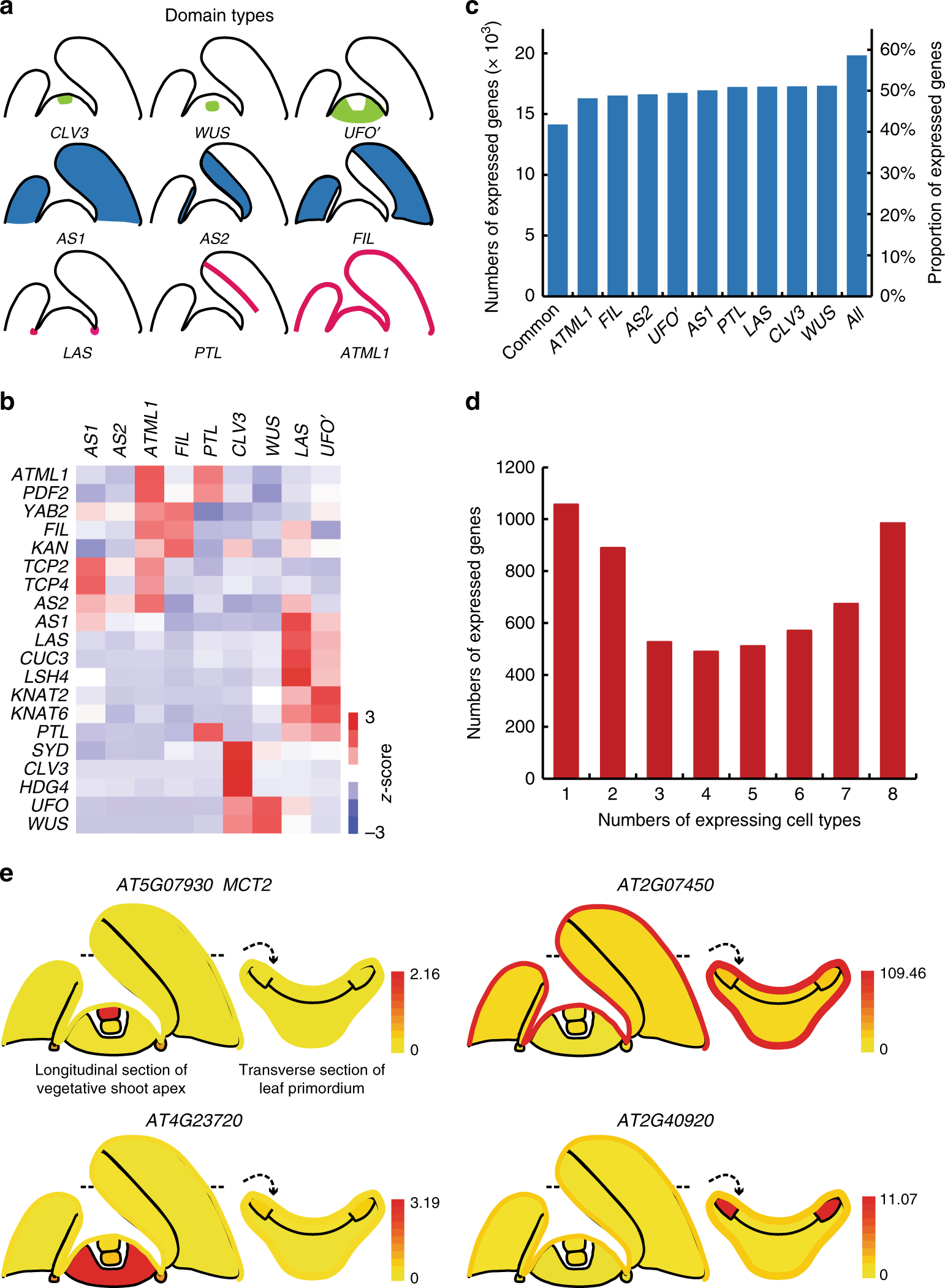 A Gene Expression Map Of Shoot Domains Reveals Regulatory