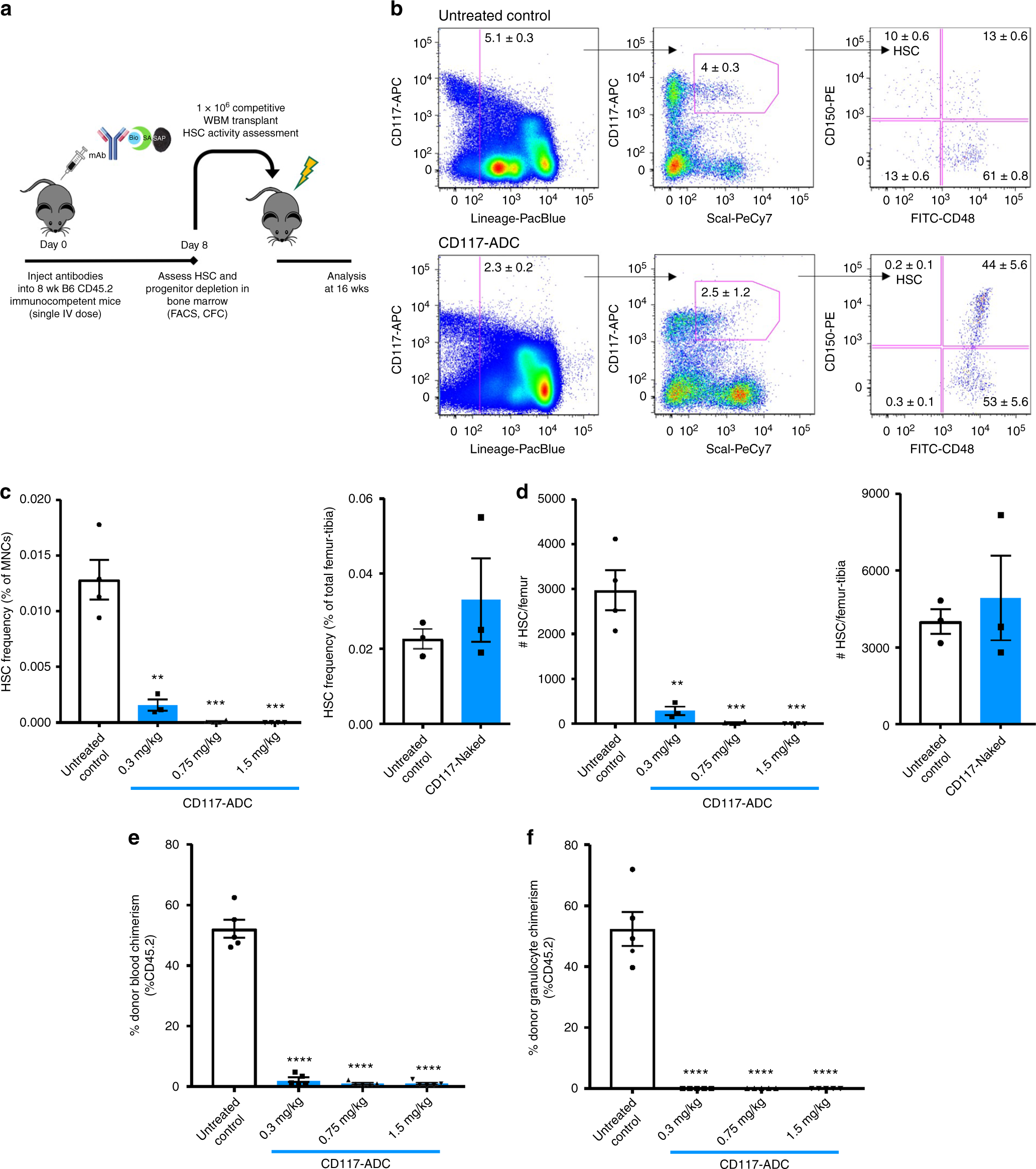Selective hematopoietic stem cell ablation using CD117-antibody-drug-conjugates  enables safe and effective transplantation with immunity preservation |  Nature Communications