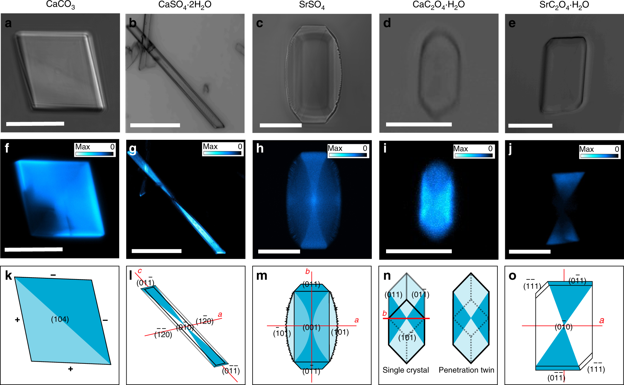 Comparison of fluorescence stability as influenced by temperature