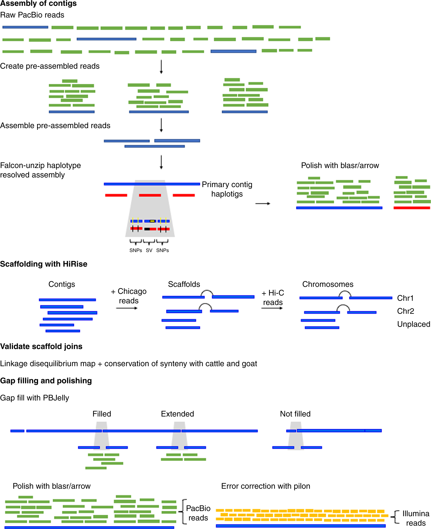 genomeGraph/library.bib at master · hsnguyen/genomeGraph · GitHub