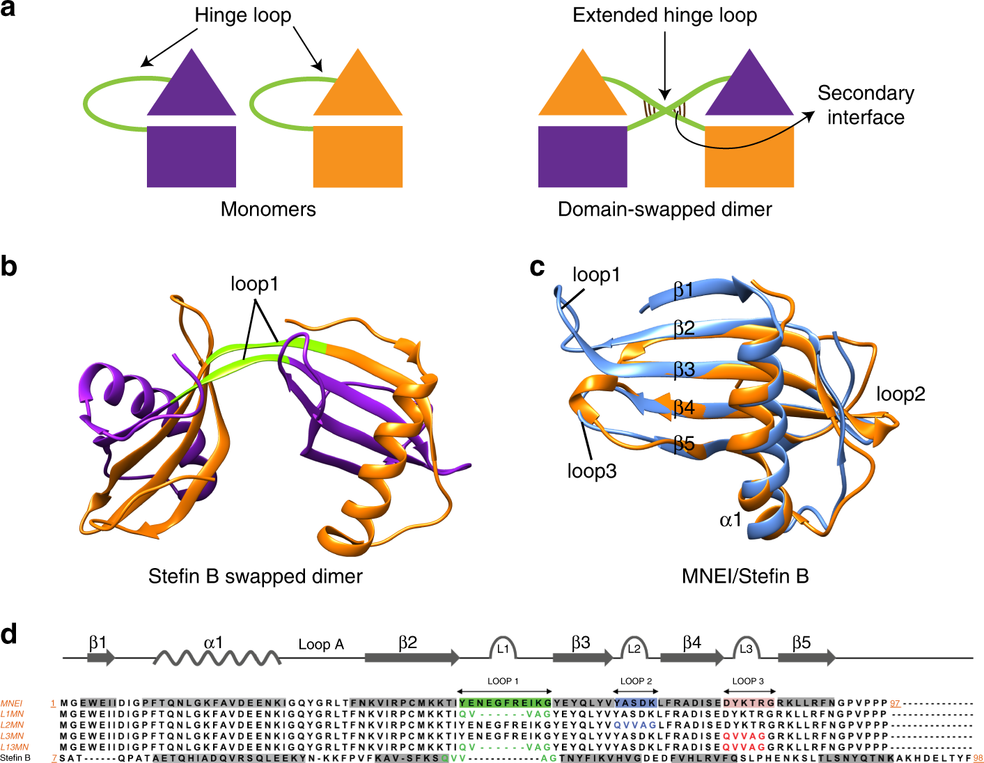 A five-residue motif for the design of domain swapping in proteins | Nature  Communications