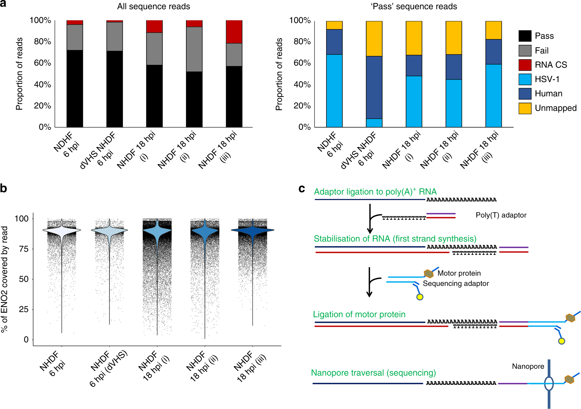 Orientation of flanking sequences neighboring to insertions in long reads