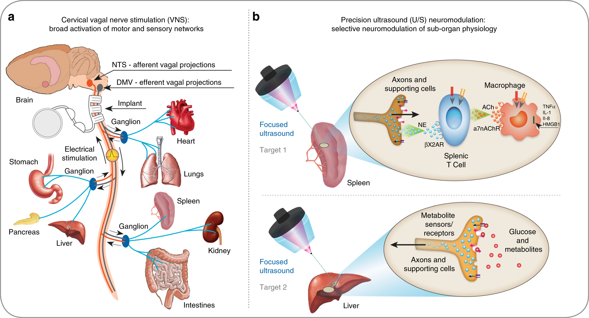 Neuromuscular Electrical Stimulation: A 'Shocking-ly' Beneficial Device?