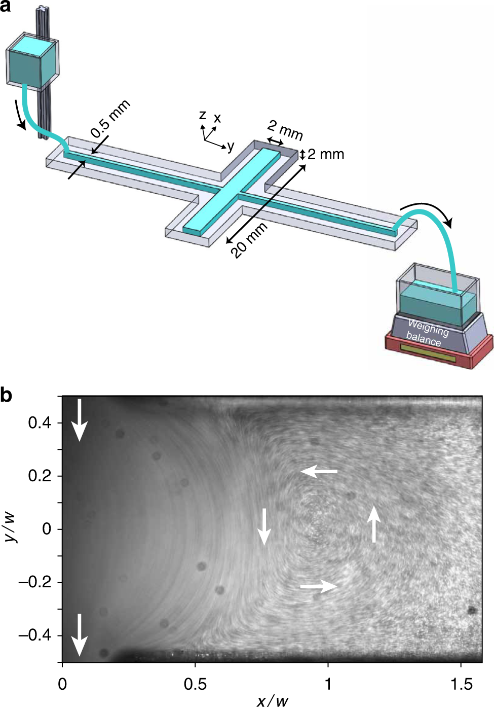 Stokes flow analogous to viscous electron current in graphene | Nature  Communications