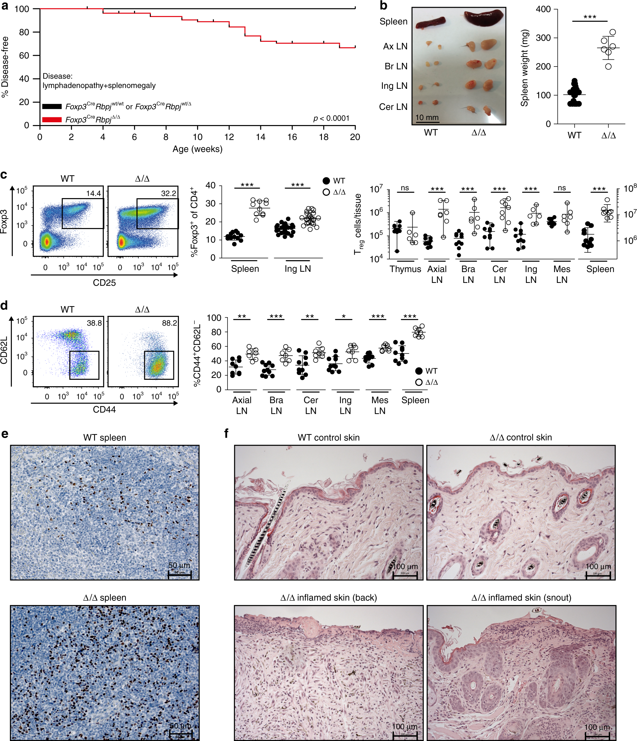 Rbpj expression in regulatory T cells is critical for restraining TH2  responses | Nature Communications