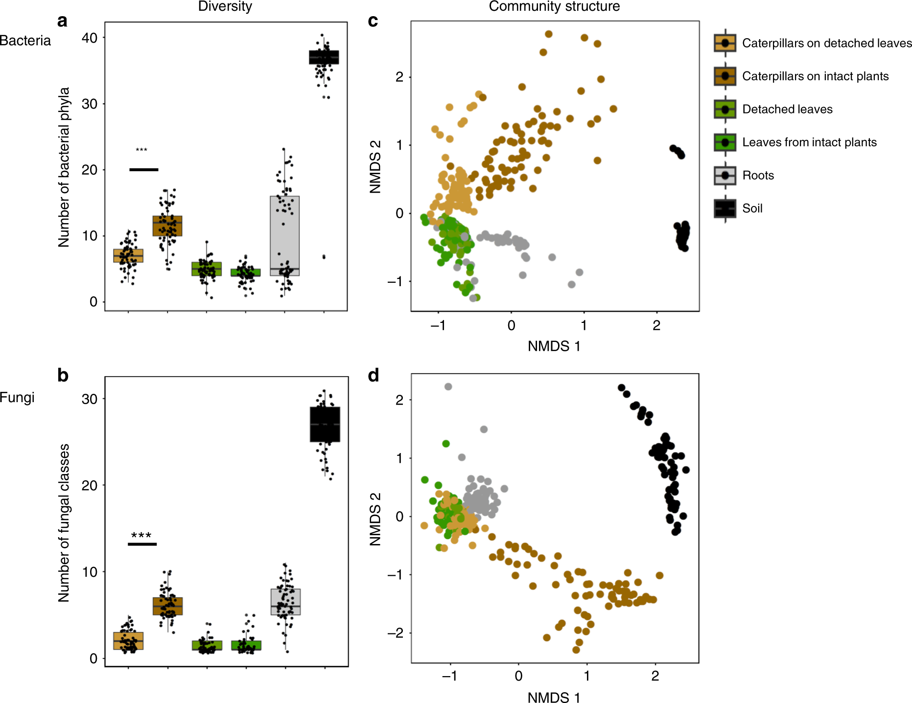 Foliar Feeding Insects Acquire Microbiomes From The Soil Rather
