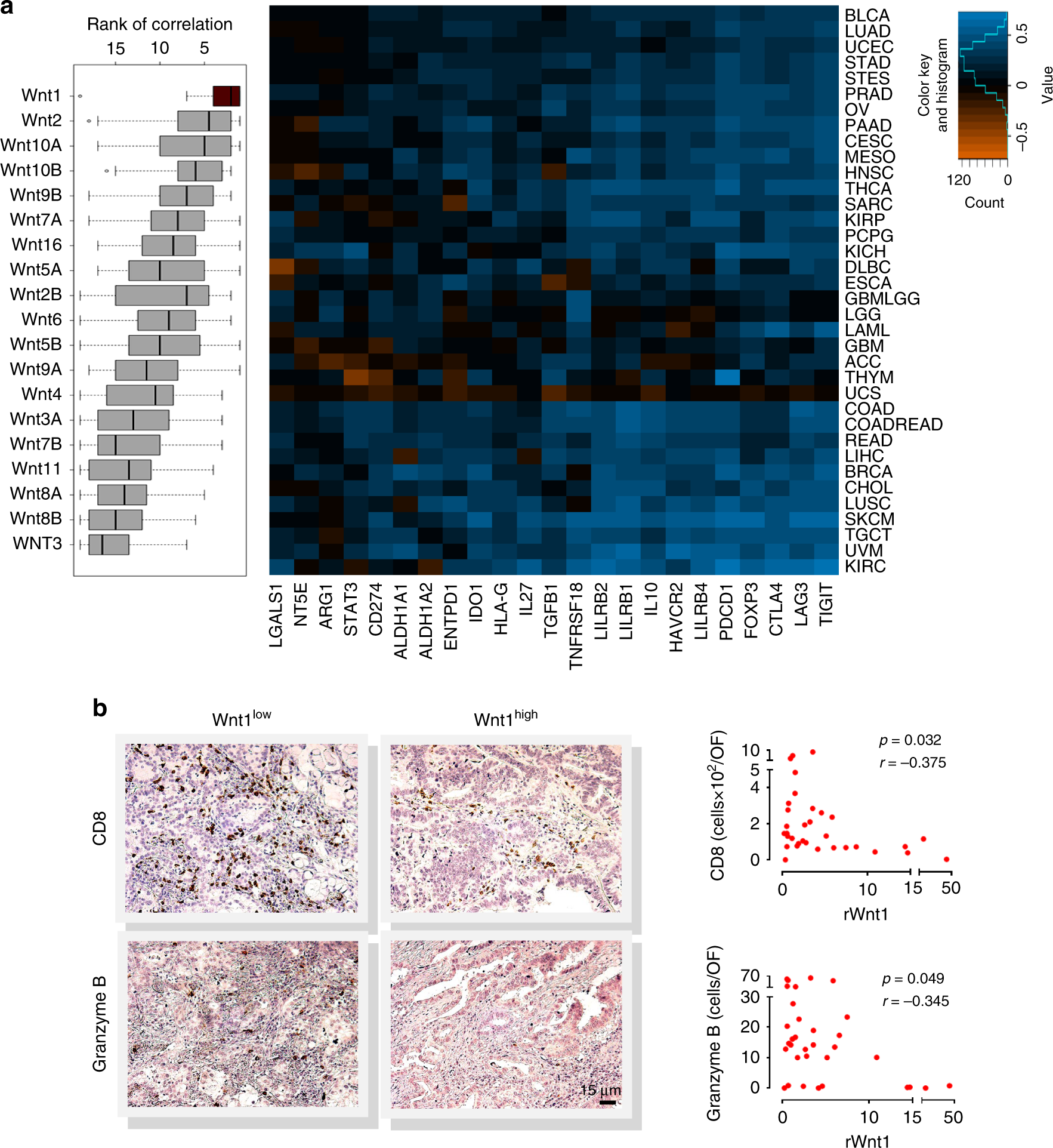 Wnt1 silences chemokine genes in dendritic cells and induces adaptive  immune resistance in lung adenocarcinoma | Nature Communications
