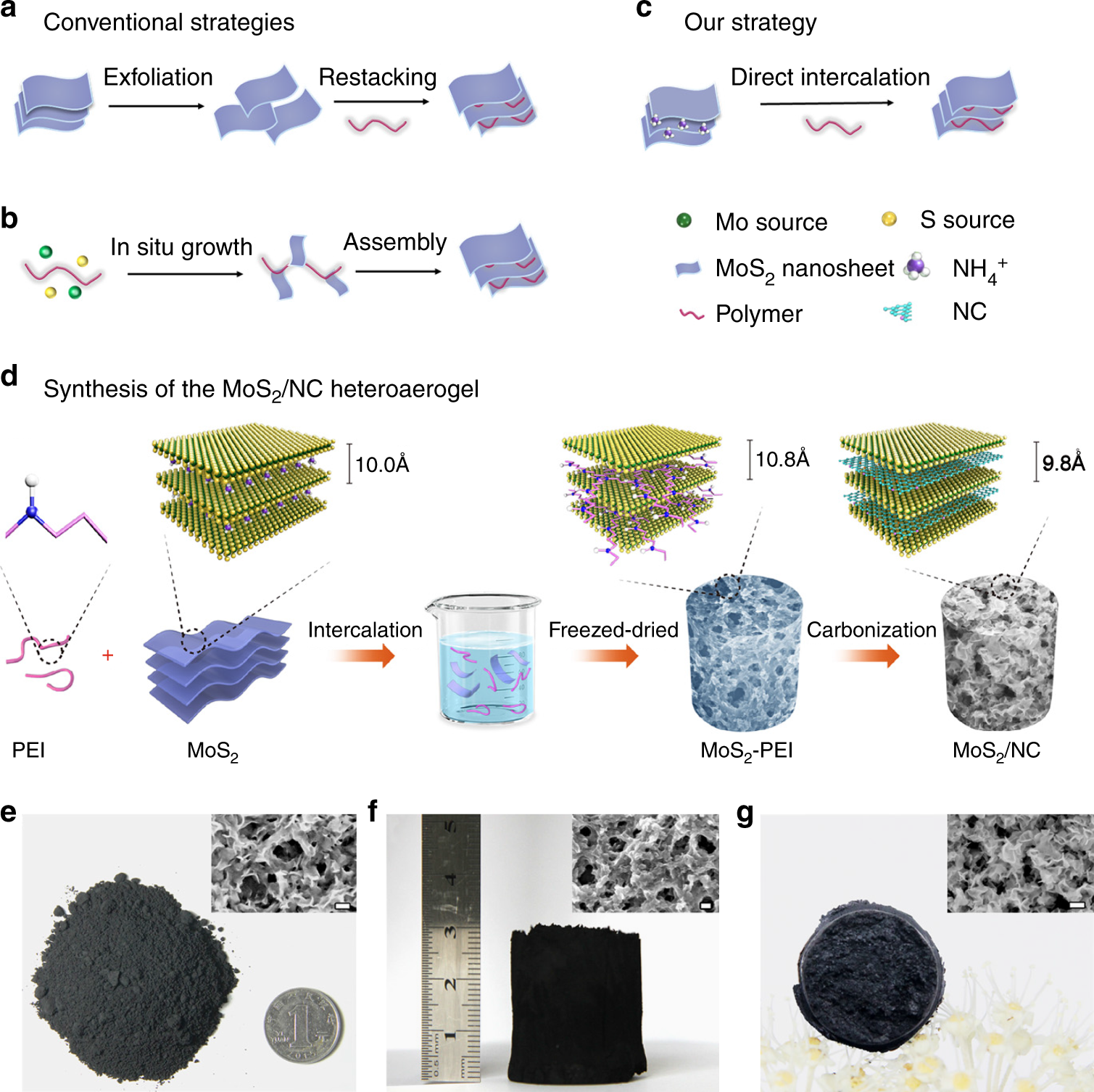 CO2 Laser Direct-Write Process for Micro-Gradient-Patterned Carbon Composed  of Graphene-like and Disordered Carbon Forms for a Robust Anode-Free  Li–Metal Battery