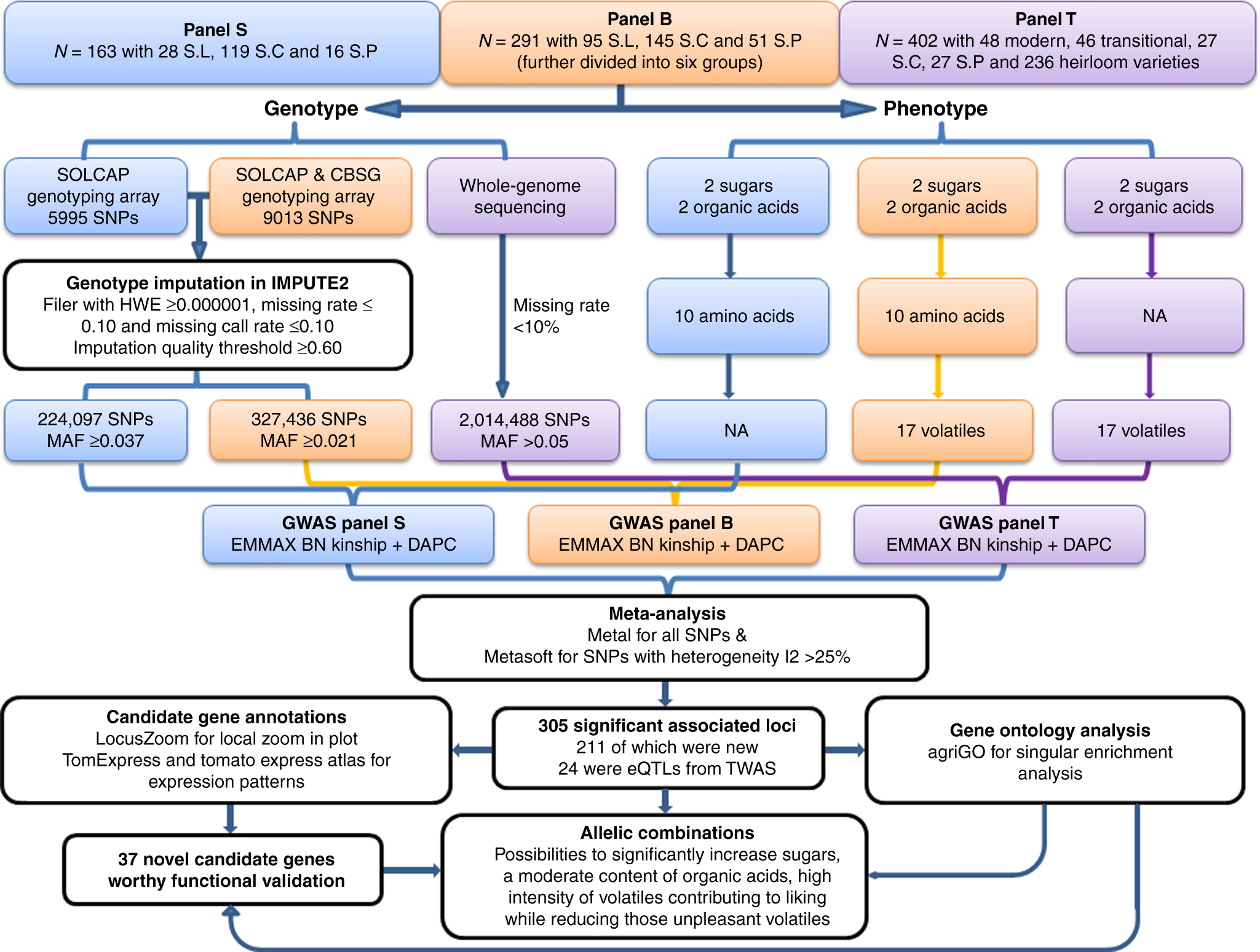 Genetic Discovery Provides New Insight >> Meta Analysis Of Genome Wide Association Studies Provides Insights Genetic Discovery Provides New Insight >> Meta Analysis Of Genome Wide Association Studies Provides Insights