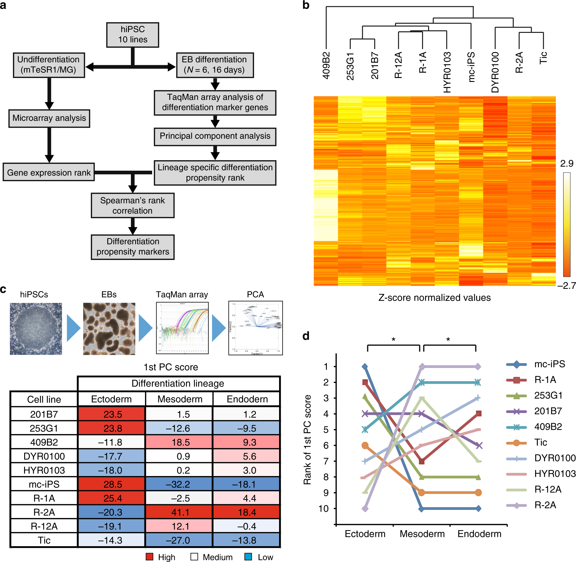 Sall3 Expression Balance Underlies Lineage Biases In Human Induced Pluripotent Stem Cell Differentiation Nature Communications