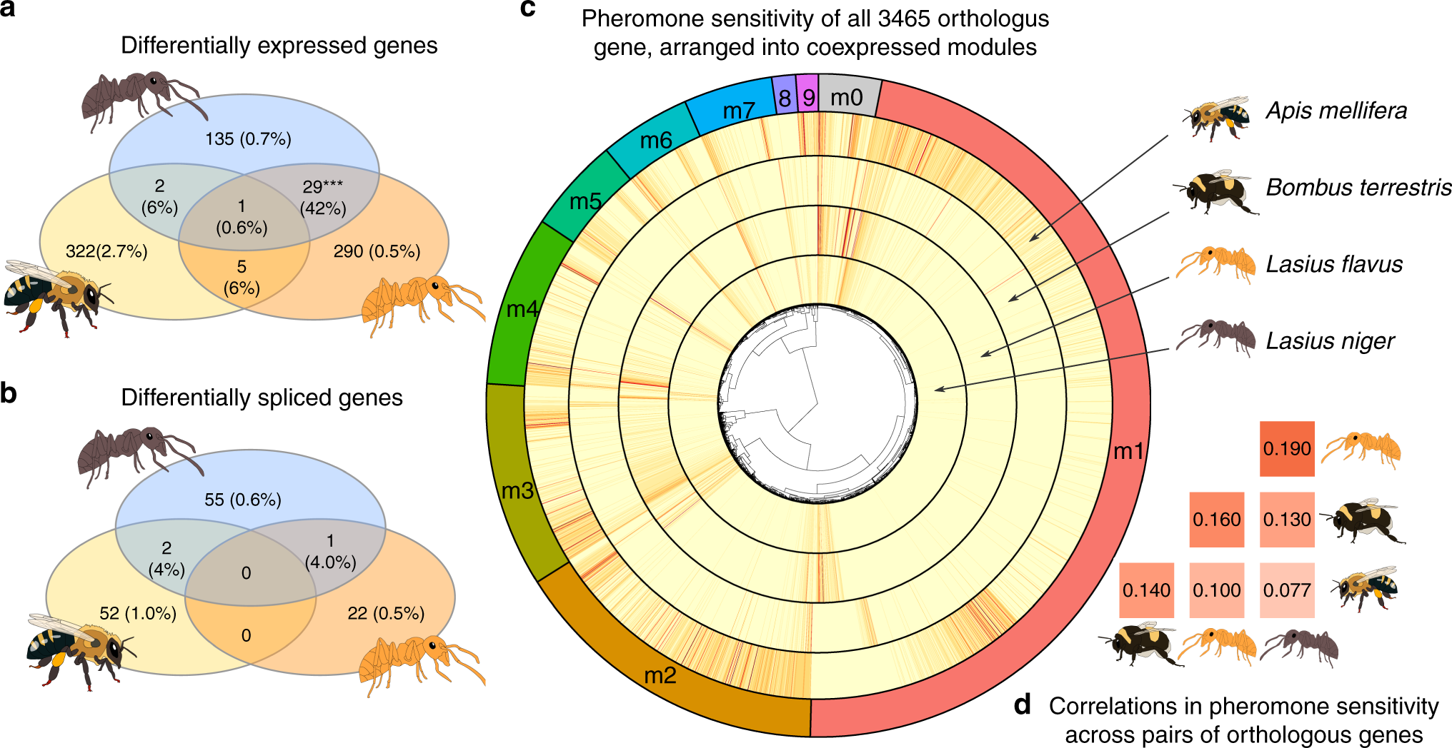 Comparative Transcriptomics Of Social Insect Queen Pheromones Nature Communications