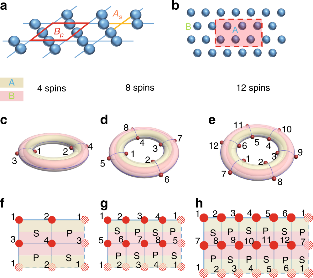 Experimental Observation Of Classical Analogy Of Topological Entanglement Entropy Nature Communications Experimental Observation Of Classical Analogy Of Topological Entanglement Entropy Nature Communications