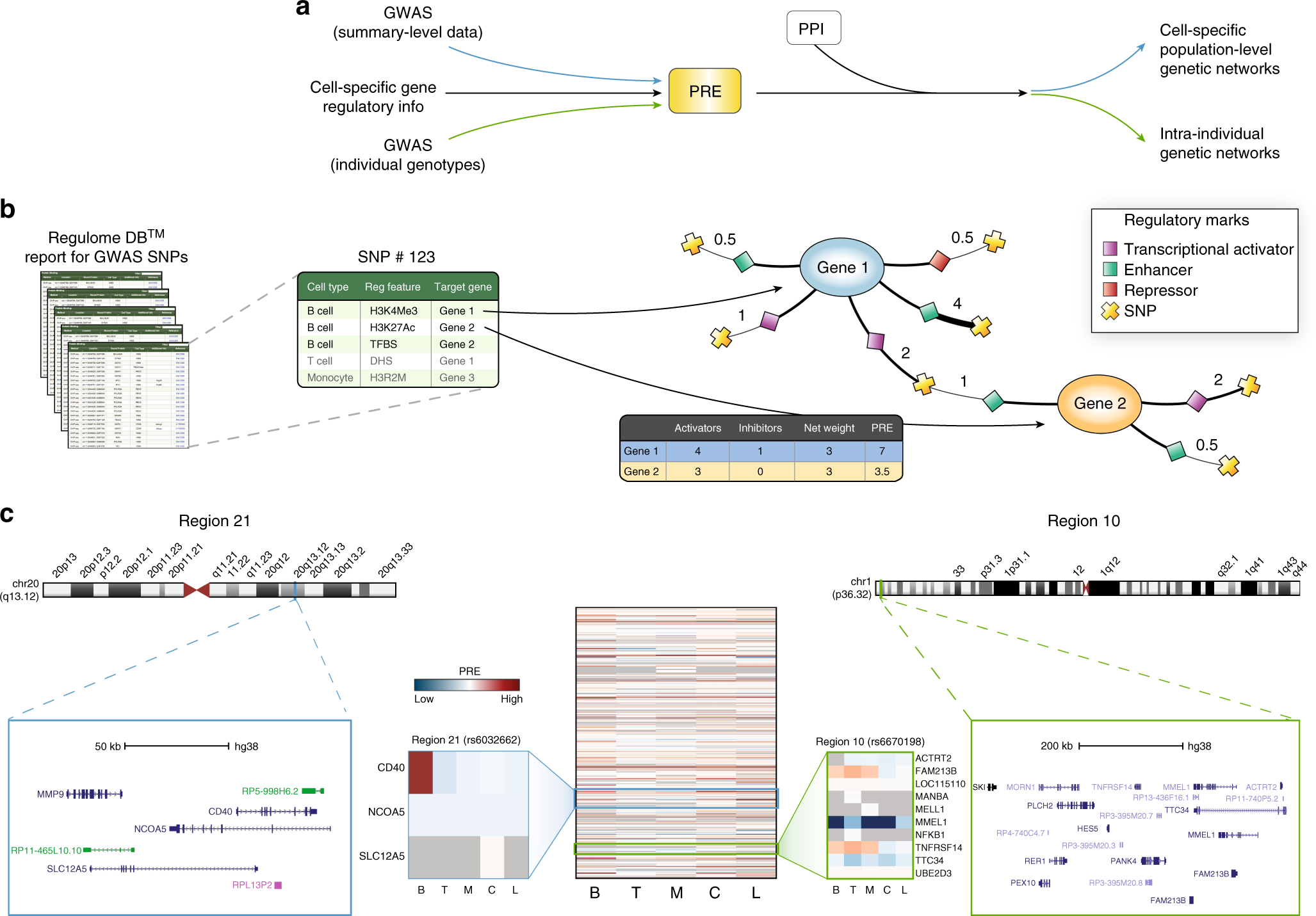 A systems biology approach uncovers cell-specific gene regulatory effects  of genetic associations in multiple sclerosis | Nature Communications