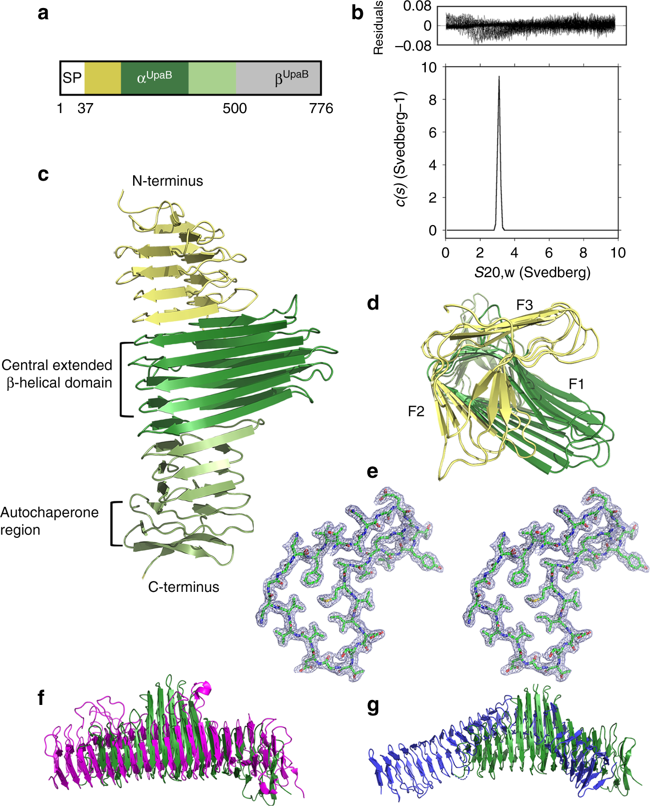Unique structural features of a bacterial autotransporter adhesin suggest  mechanisms for interaction with host macromolecules | Nature Communications